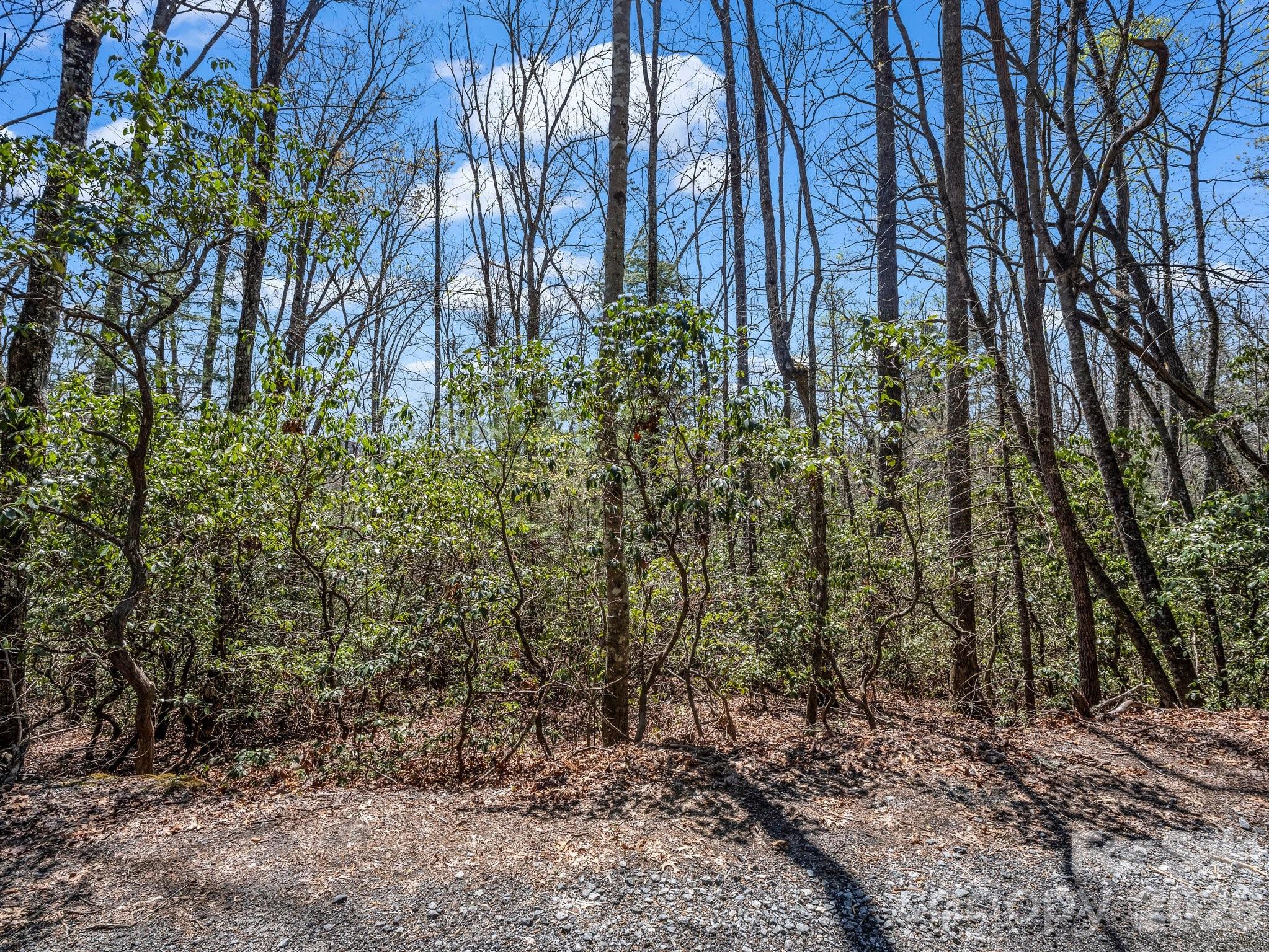 999 Bulling Creek Road Penrose, NC 28766 - Photo 9 of 37