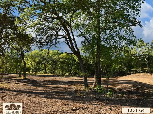 a view of backyard space