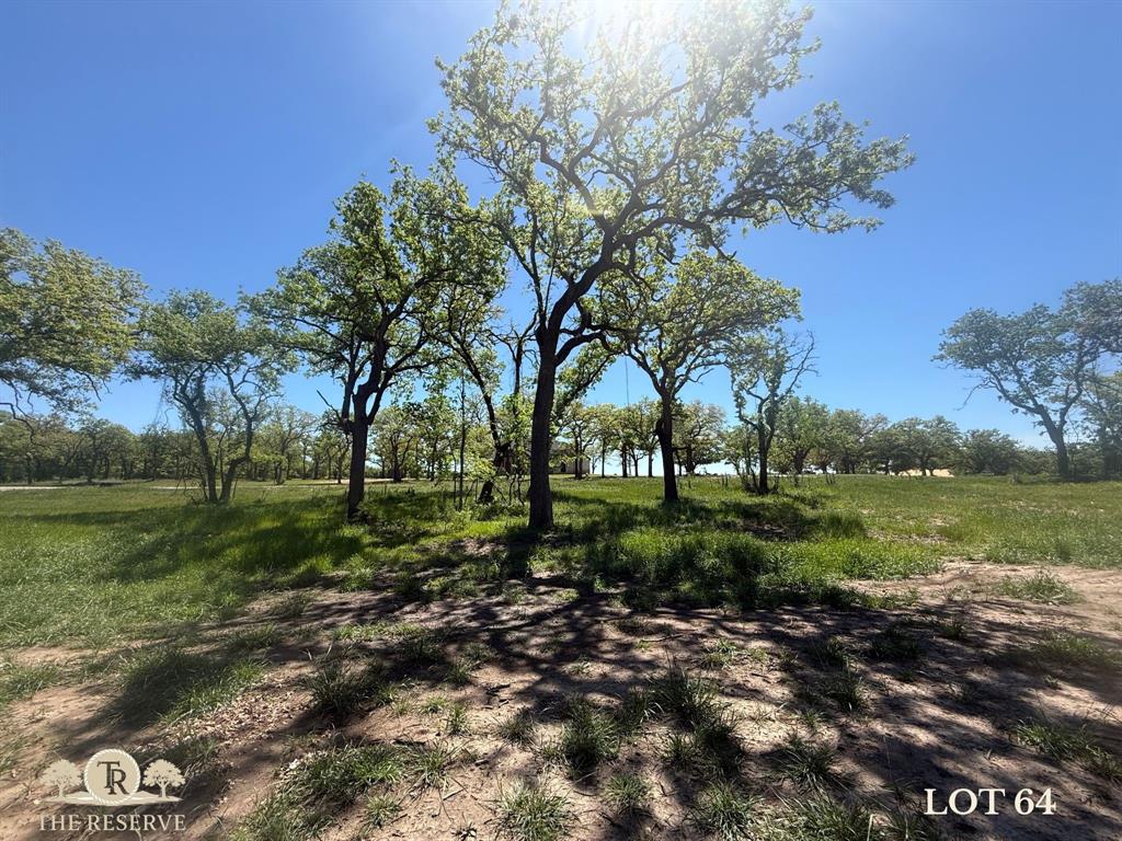 Lot 64 Camden Lane Springtown, TX 76082 - Photo 2 of 17 a view of a park with large trees