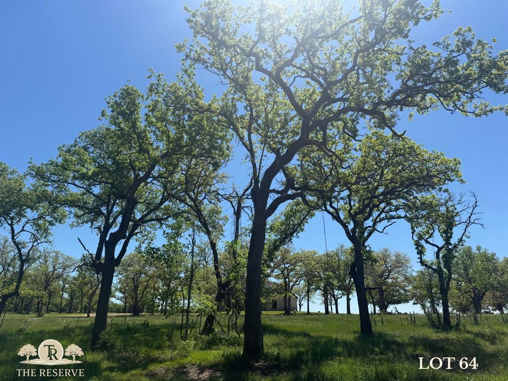 Lot 64 Camden Lane Springtown, TX 76082 - Photo 3 of 17 a backyard of a house with lots of green space and fountain