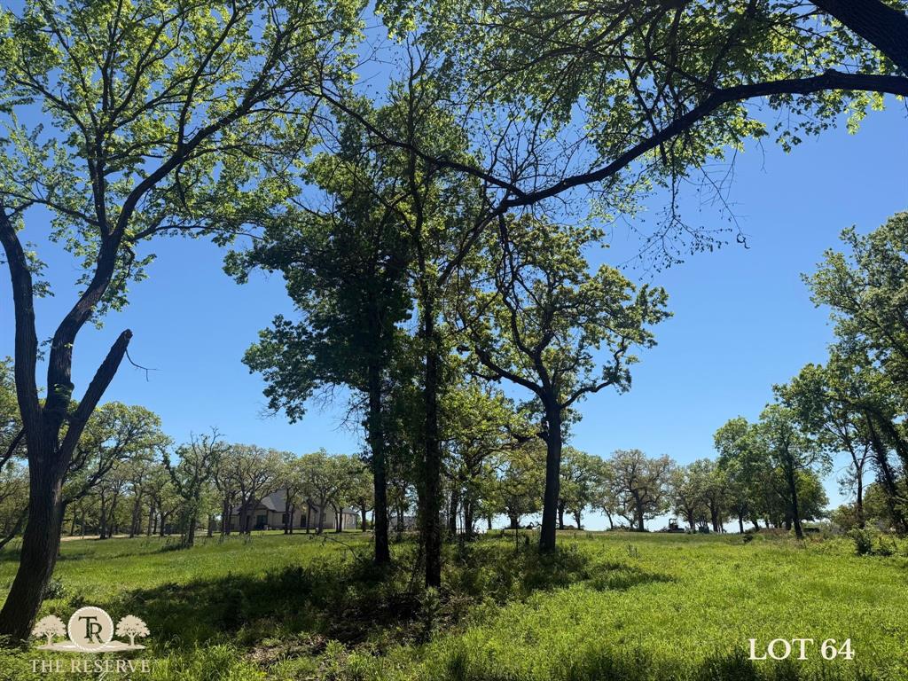 Lot 64 Camden Lane Springtown, TX 76082 - Photo 4 of 17 a view of a park with large trees