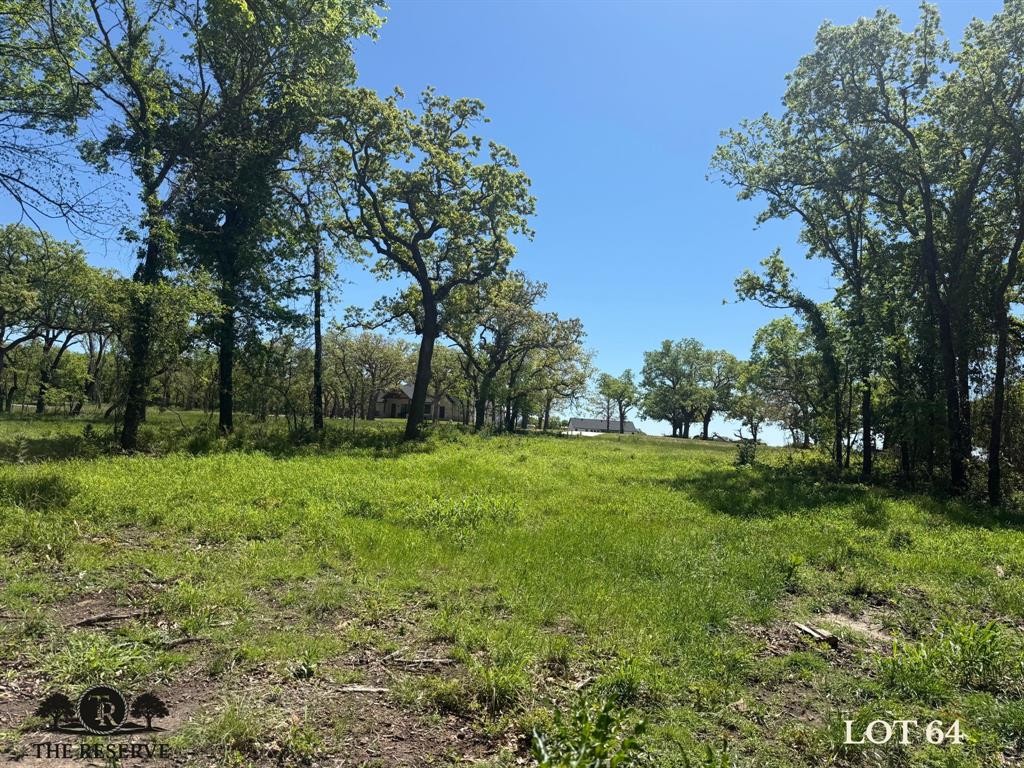 Lot 64 Camden Lane Springtown, TX 76082 - Photo 5 of 17 a view of backyard with green space