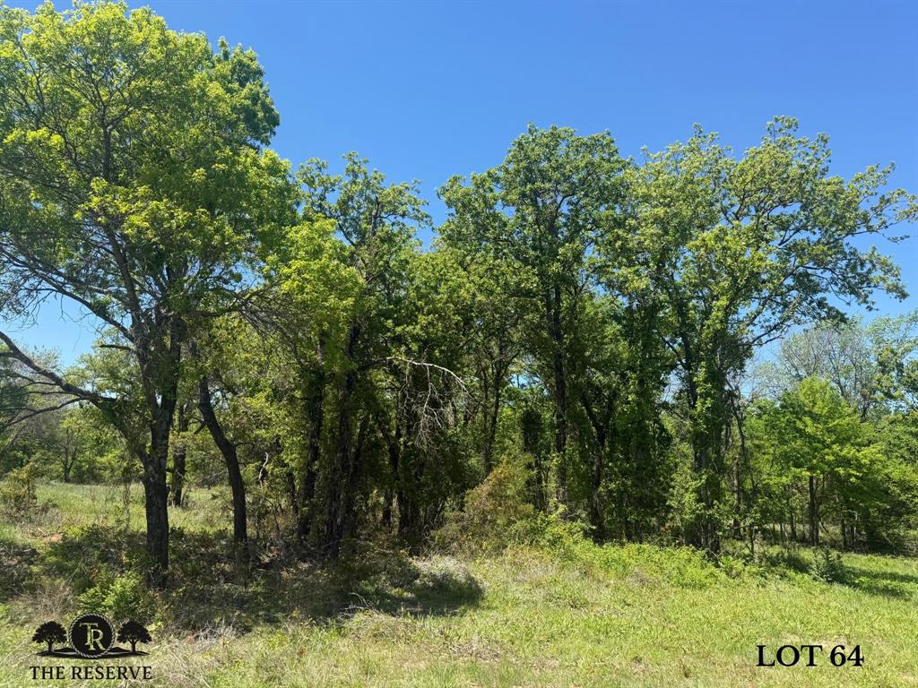 Lot 64 Camden Lane Springtown, TX 76082 - Photo 6 of 17 a view of a forest