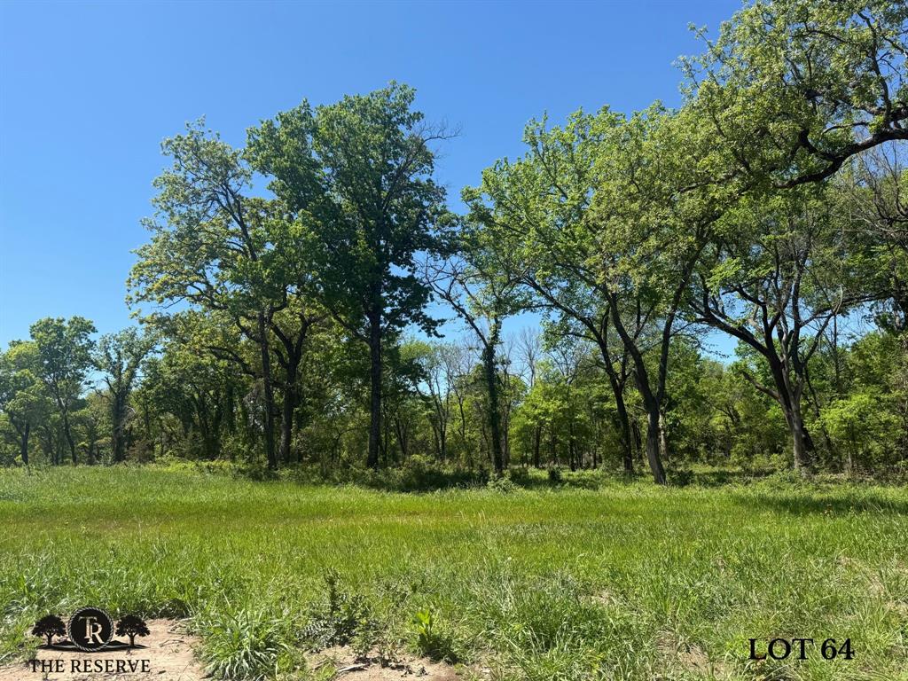 Lot 64 Camden Lane Springtown, TX 76082 - Photo 7 of 17 a view of a grassy field with trees in the background