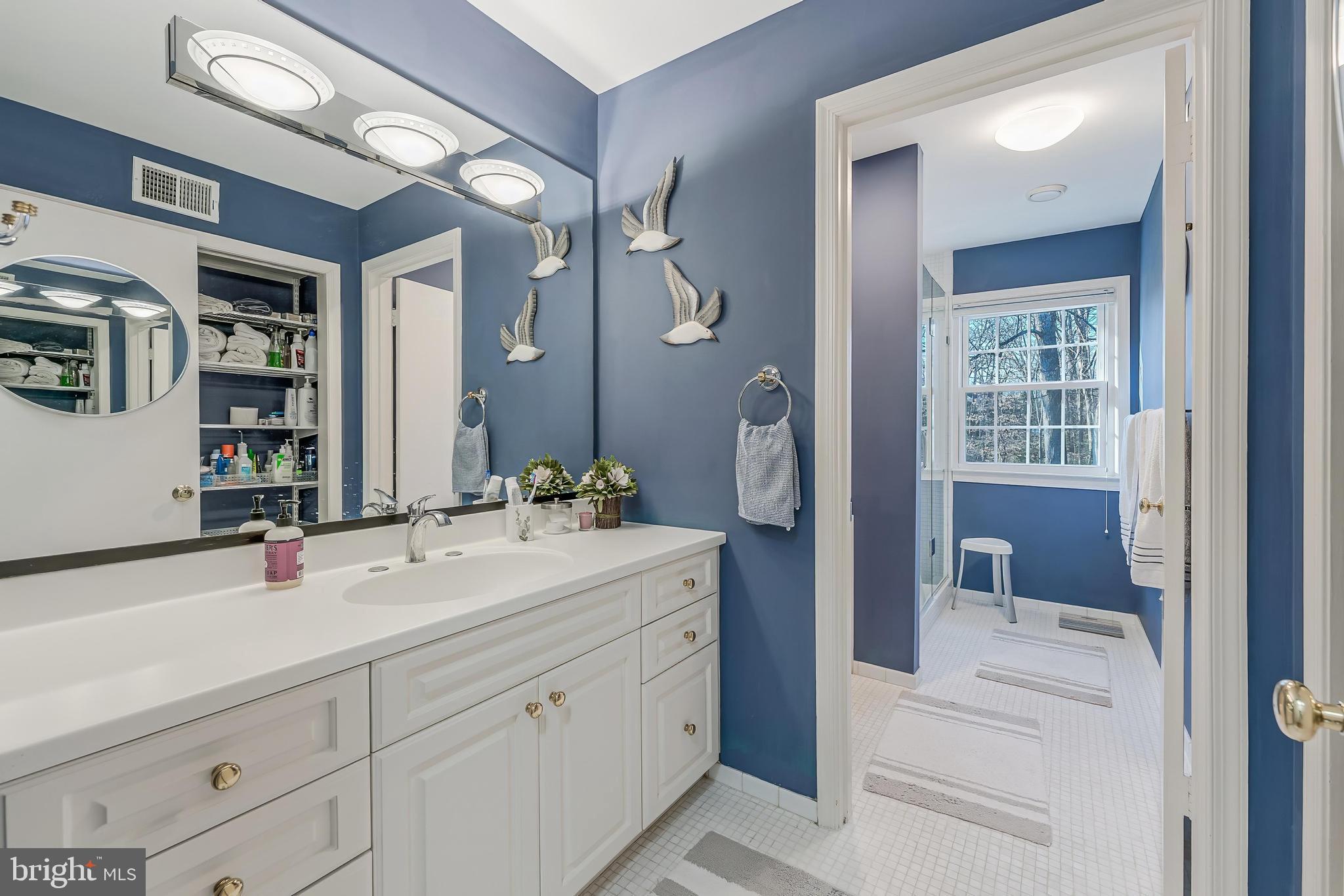 9908 Carter Road Bethesda, MD 20817 - Photo 28 of 51 Primary bathroom with large linen closet