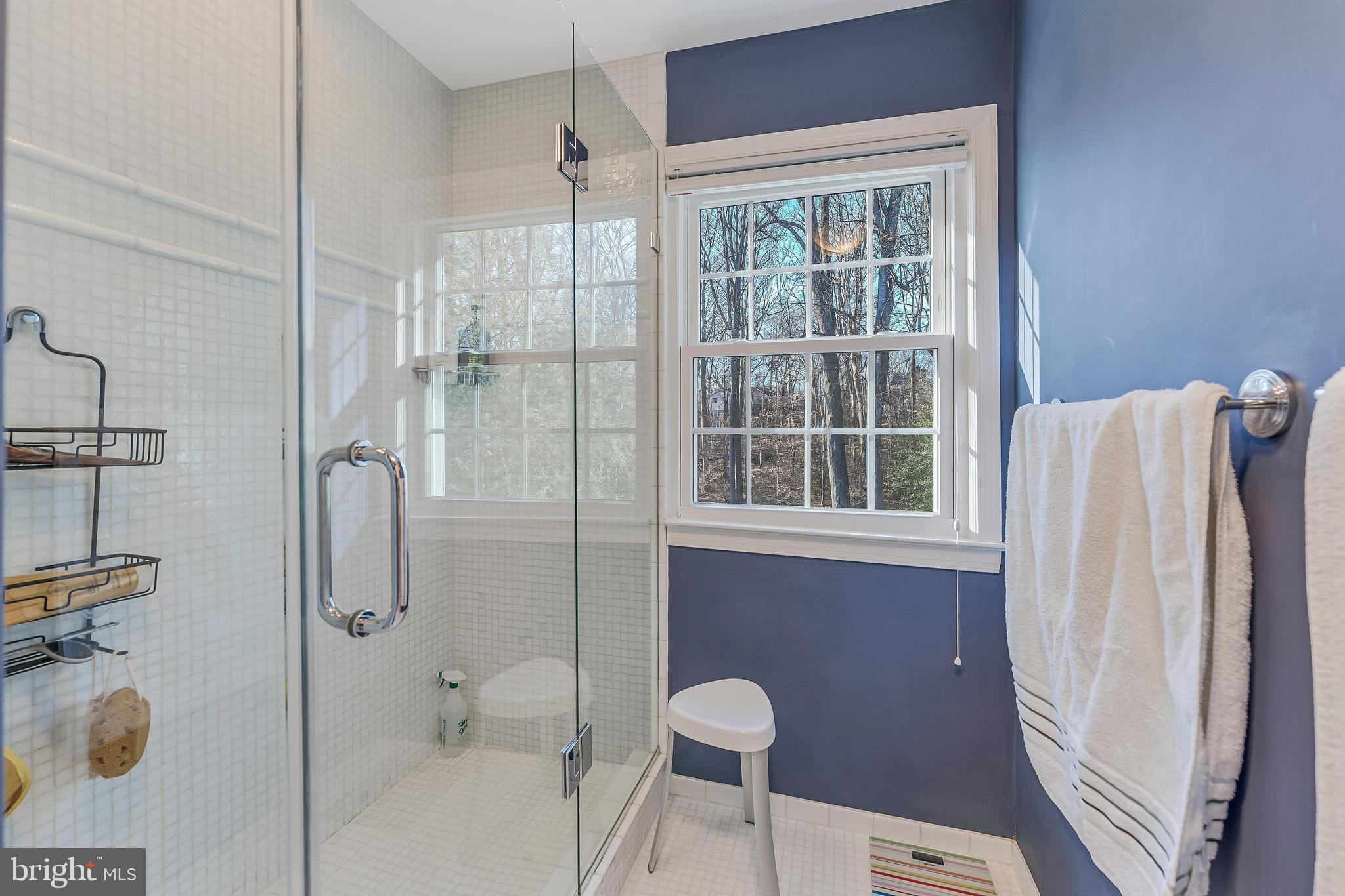 9908 Carter Road Bethesda, MD 20817 - Photo 29 of 51 Primary walk-in shower