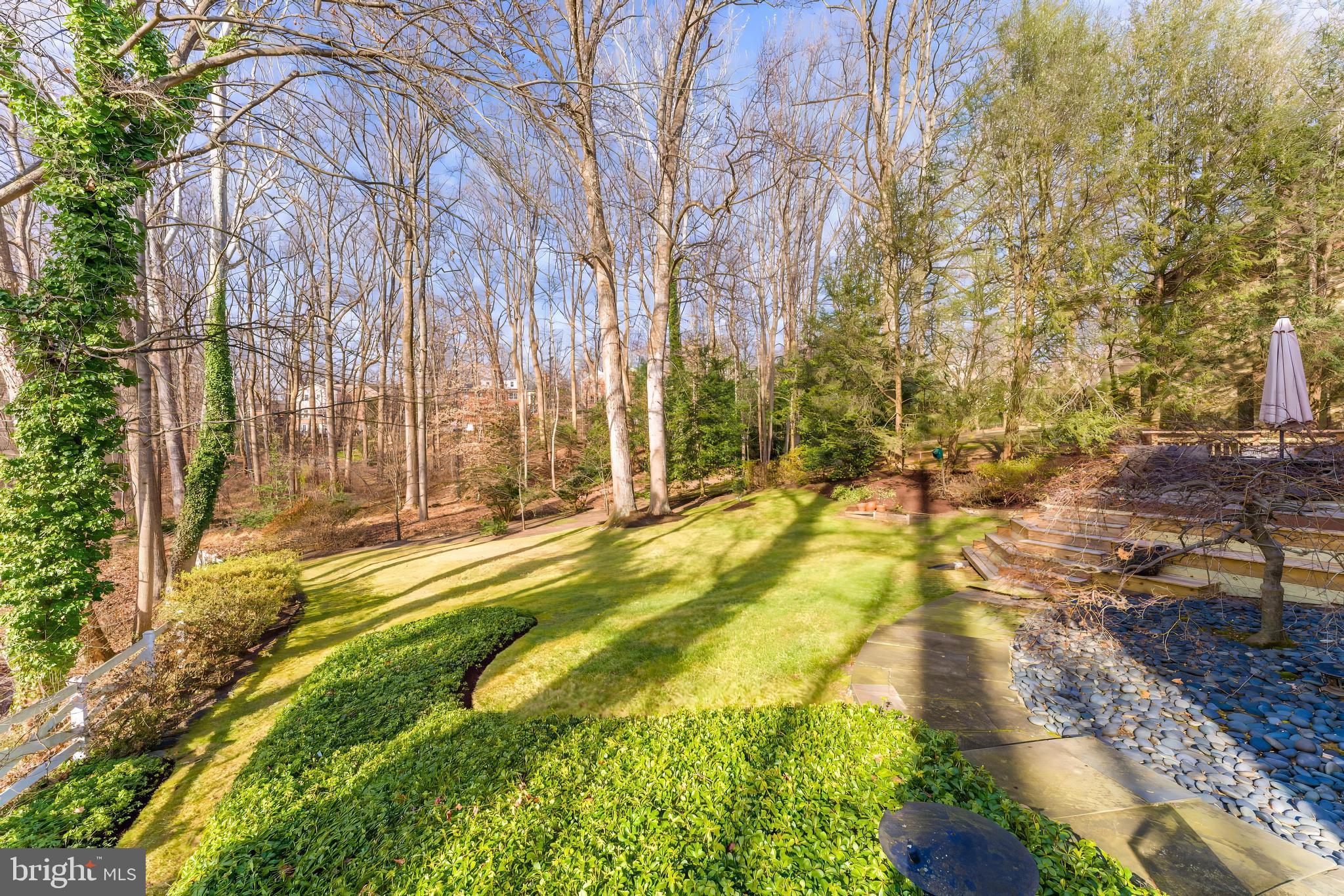 9908 Carter Road Bethesda, MD 20817 - Photo 4 of 51 Superlative gardens in front and backyards