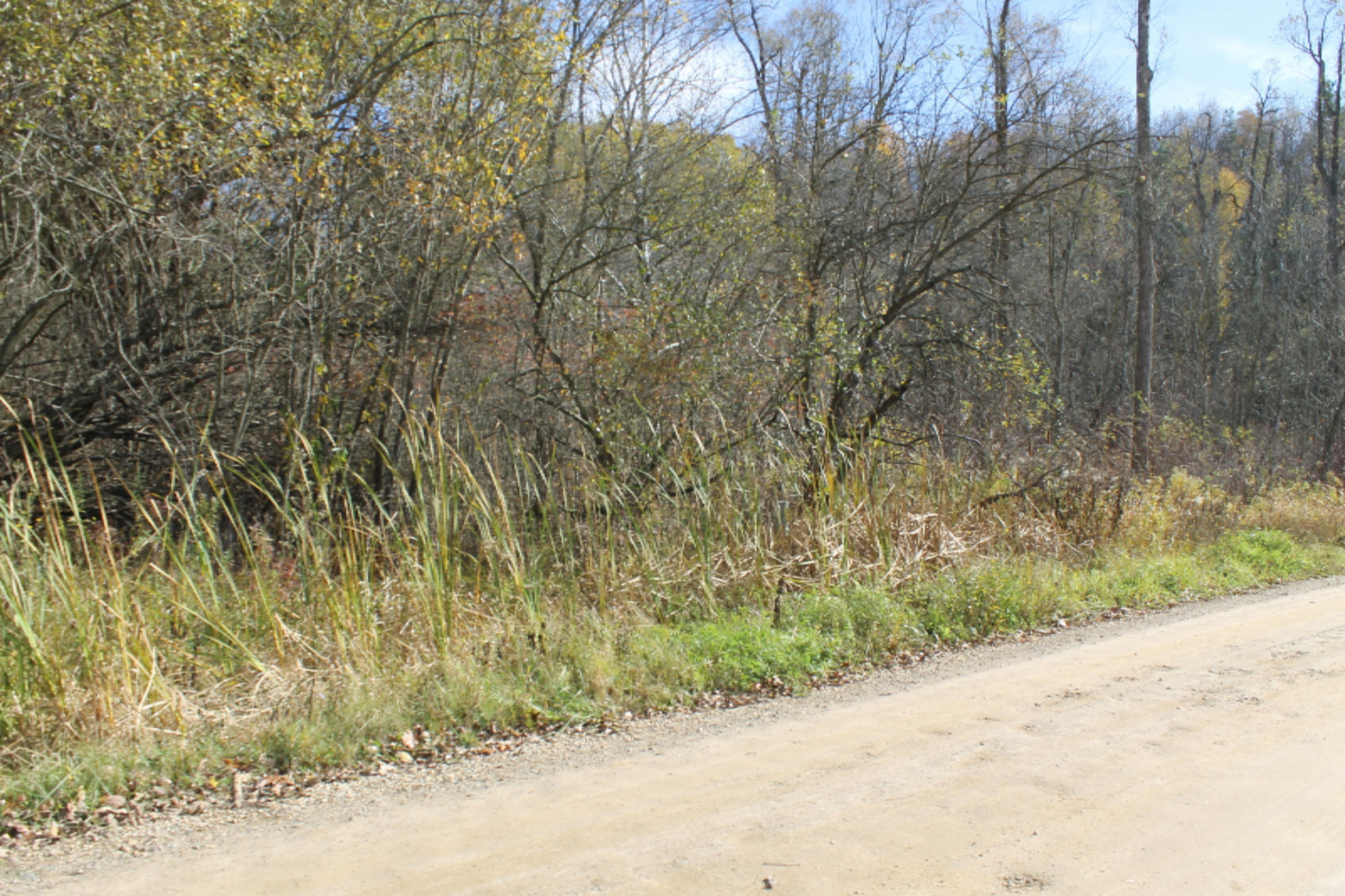 5787 South Head Road Hastings, MI 49058 - Photo 11 of 12 IMG_4038