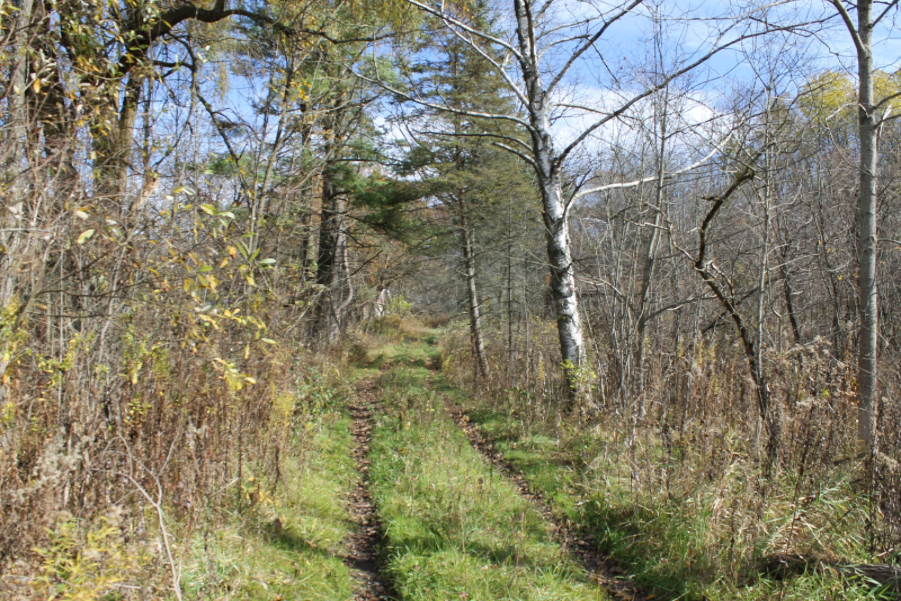 5787 South Head Road Hastings, MI 49058 - Photo 12 of 12 IMG_4039