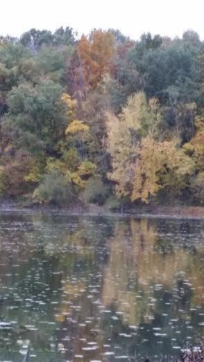 5787 South Head Road Hastings, MI 49058 - Photo 2 of 12 unnamed