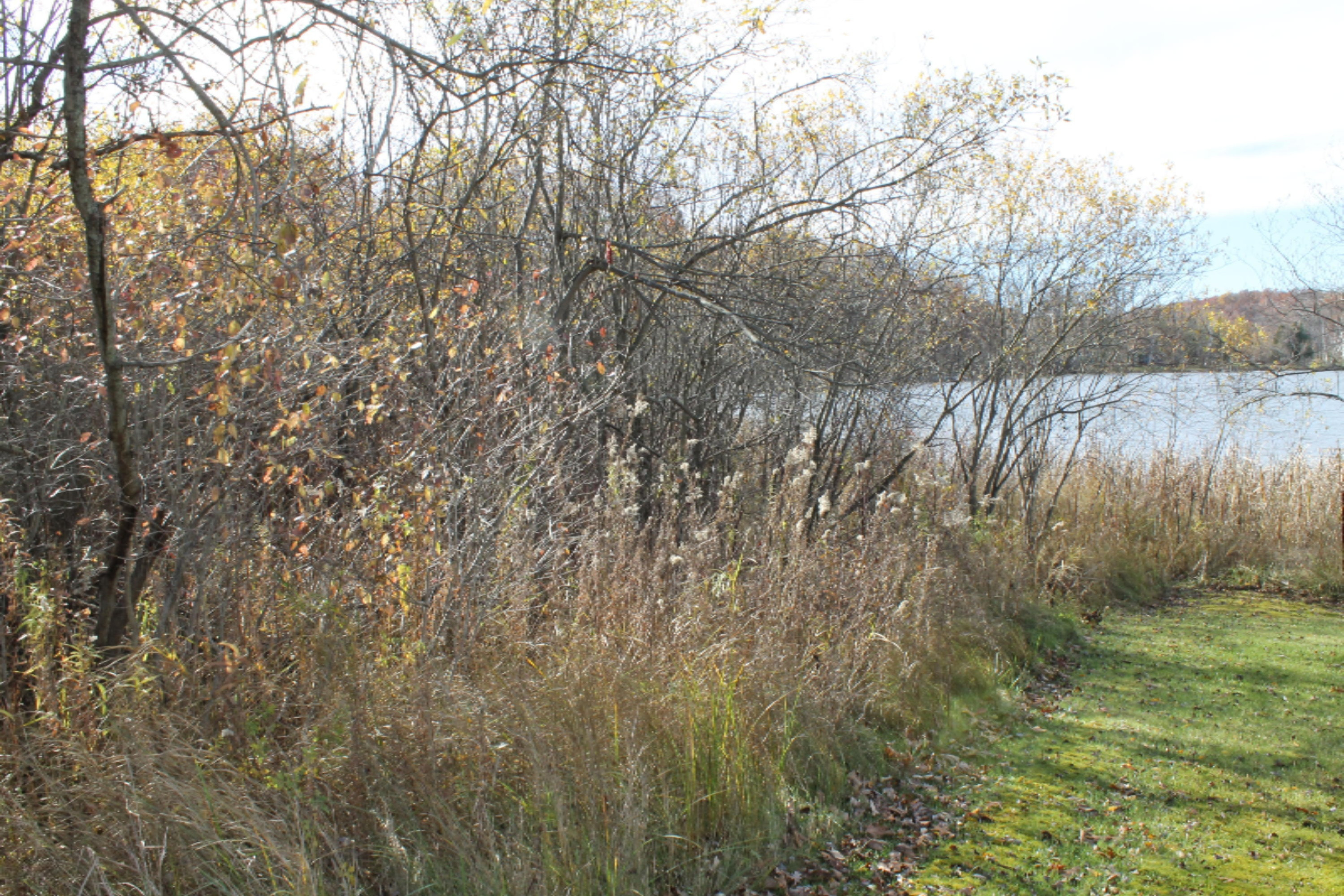 5787 South Head Road Hastings, MI 49058 - Photo 10 of 12 IMG_4037