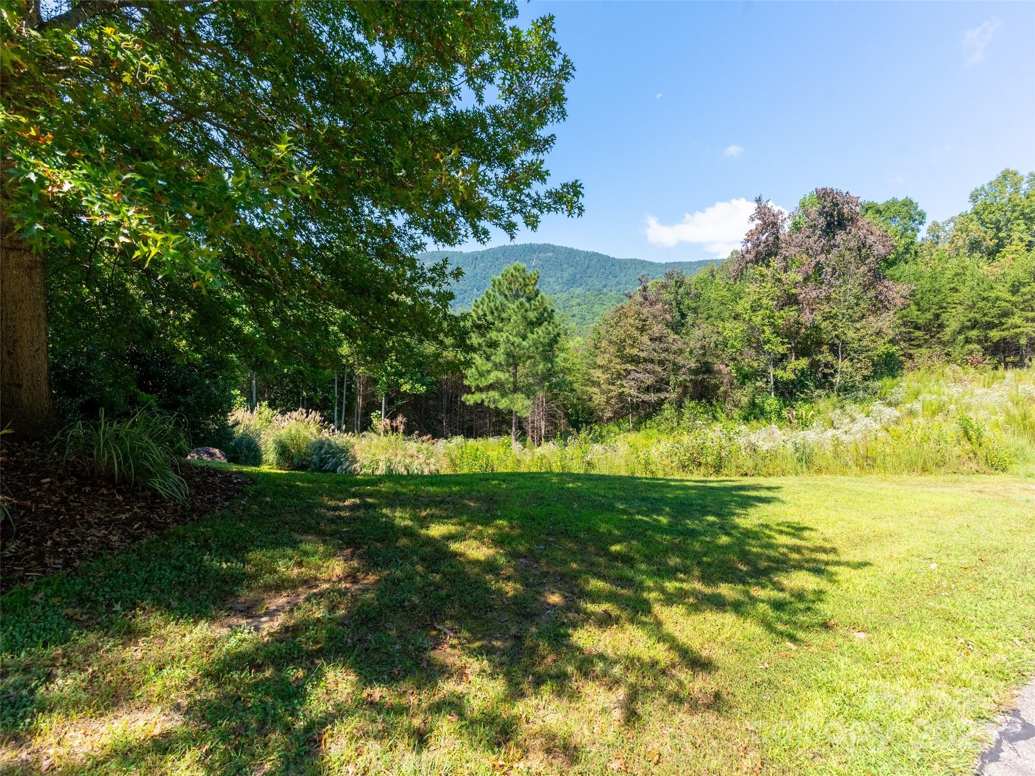 0 Chestertown Drive, Unit 85 Mill Spring, NC 28756 - Photo 2 of 10