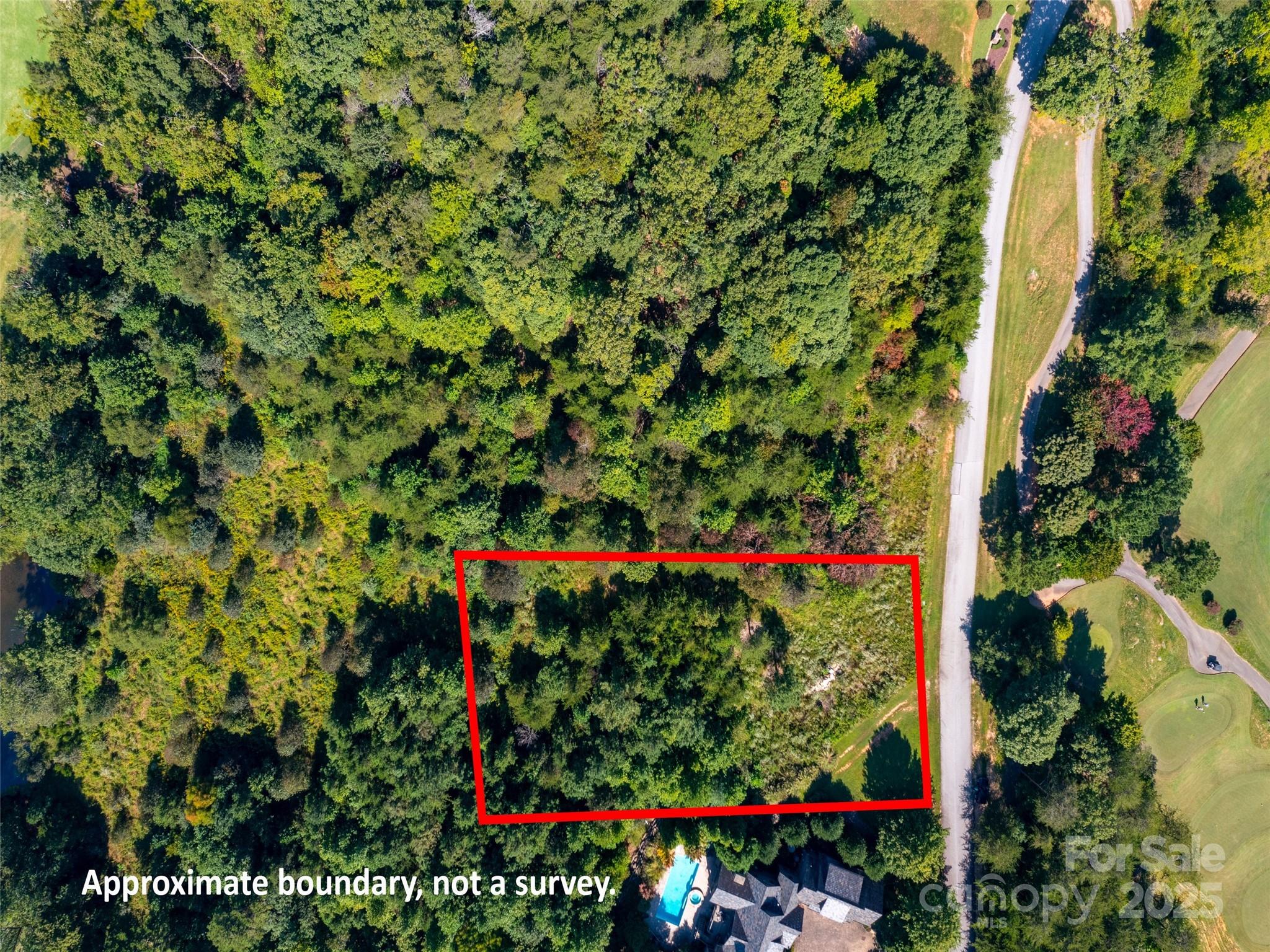 0 Chestertown Drive, Unit 85 Mill Spring, NC 28756 - Photo 5 of 10