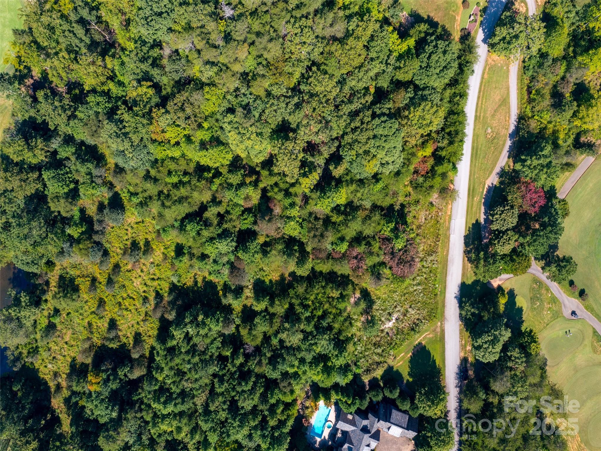 0 Chestertown Drive, Unit 85 Mill Spring, NC 28756 - Photo 6 of 10