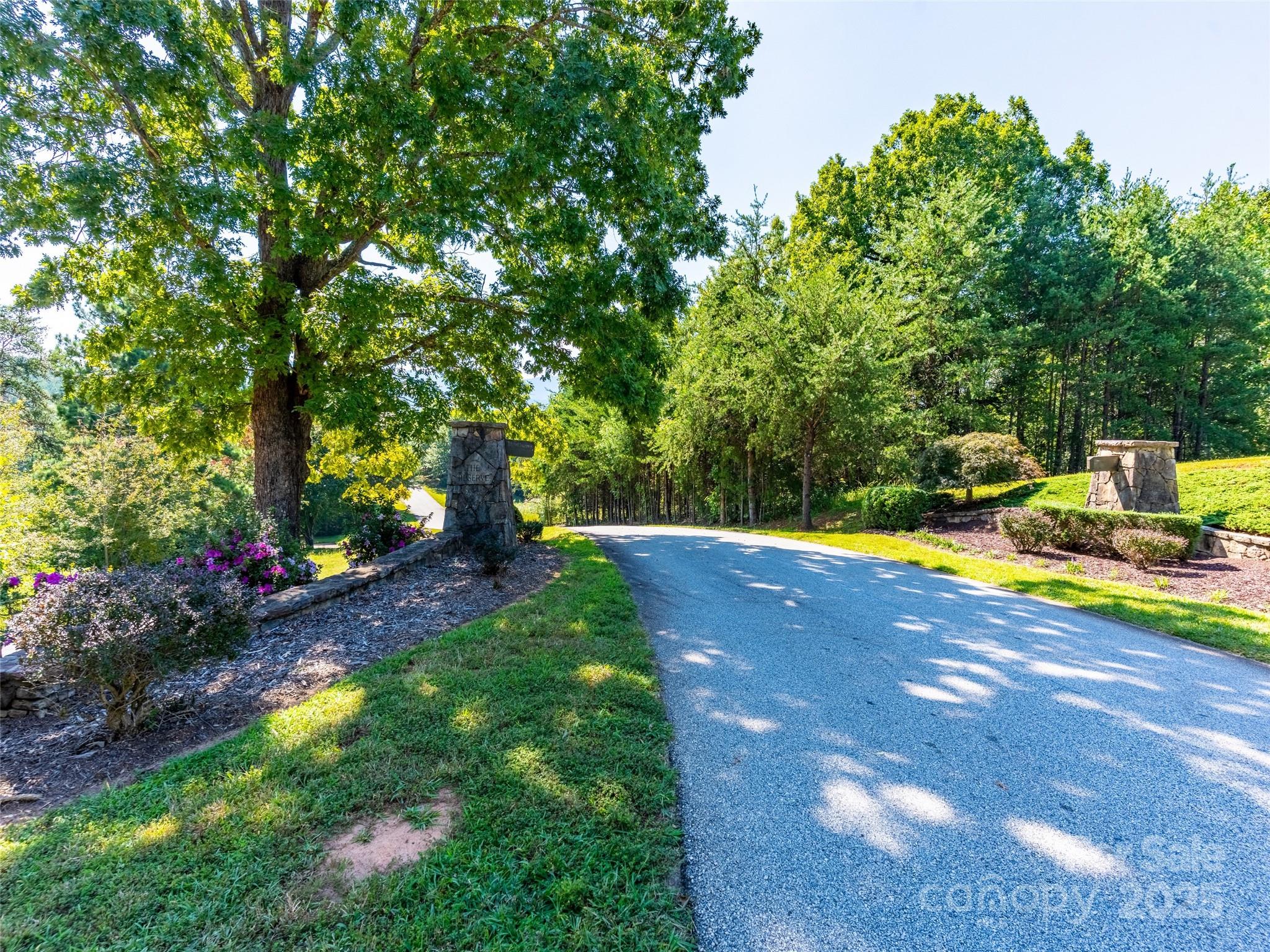 0 Chestertown Drive, Unit 85 Mill Spring, NC 28756 - Photo 9 of 10
