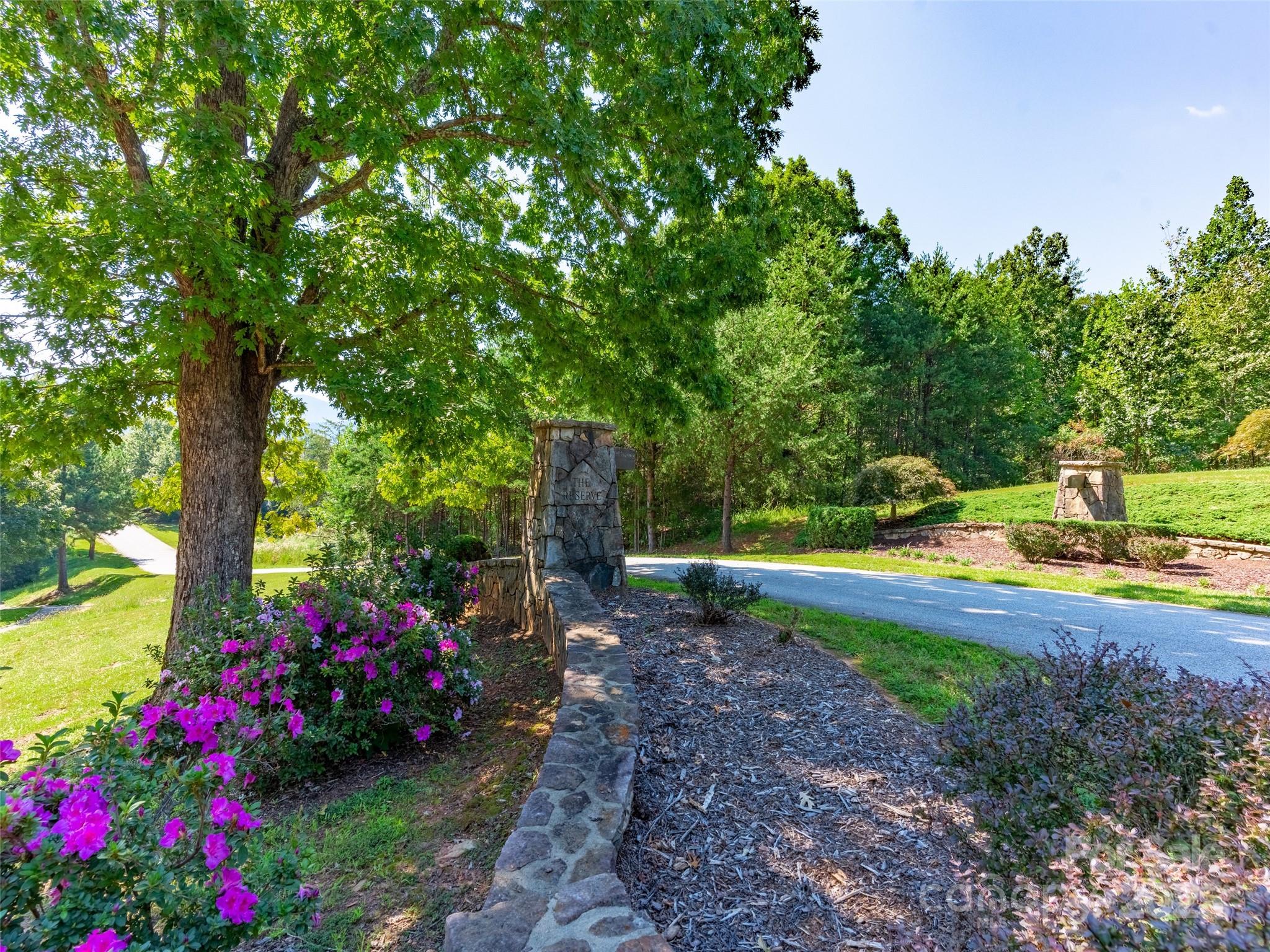 0 Chestertown Drive, Unit 85 Mill Spring, NC 28756 - Photo 10 of 10