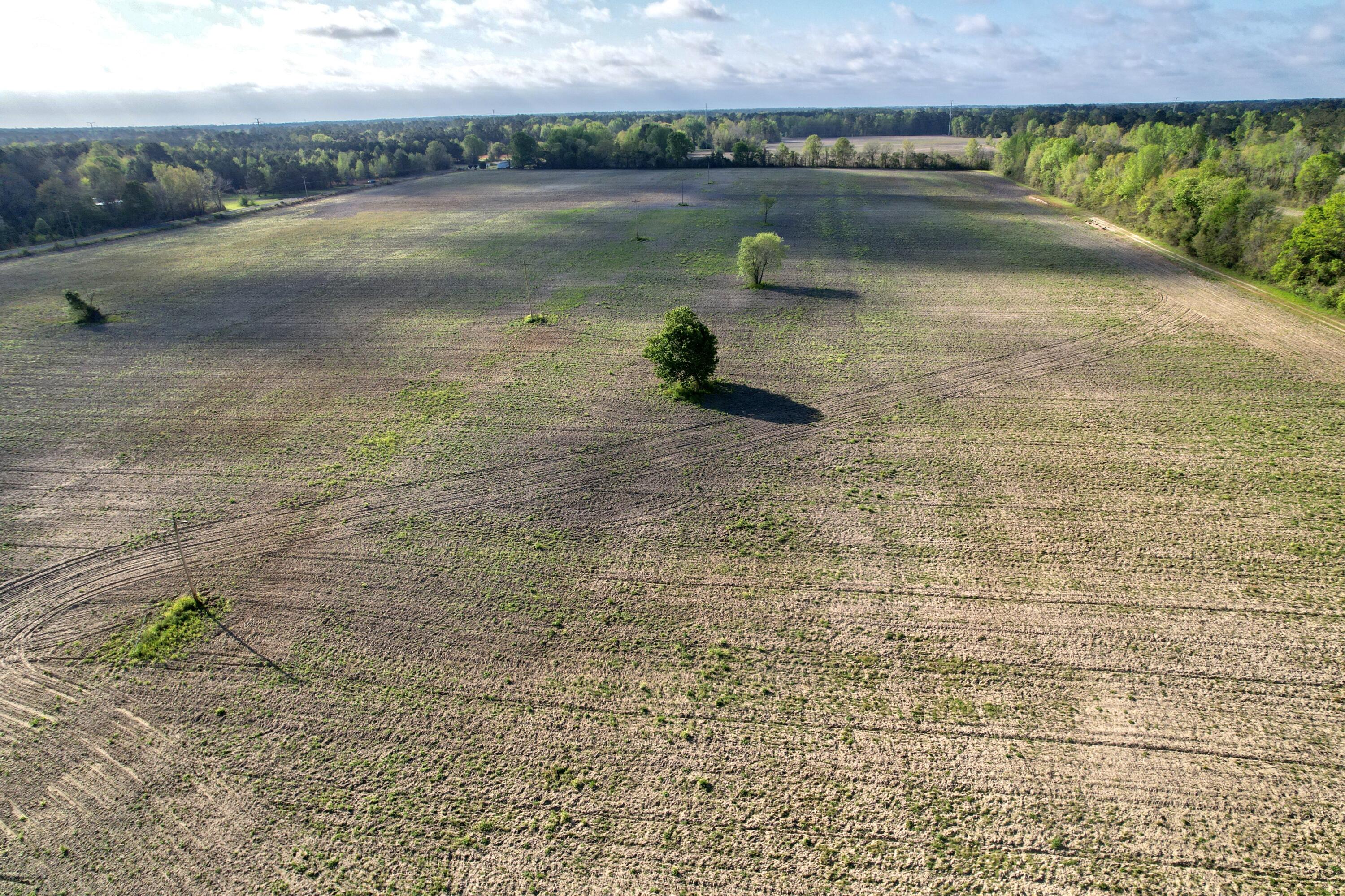 1185 Spring Plains Road Cross, SC 29436 - Photo 11 of 14 168F2866-D075-4BFB-A495-AE6C91EE6D1F_1_2