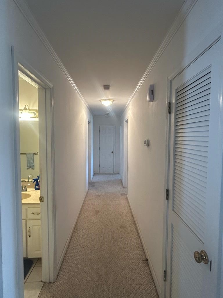 11034-11134 Cty Road Slocomb, AL 36375 - Photo 64 of 80