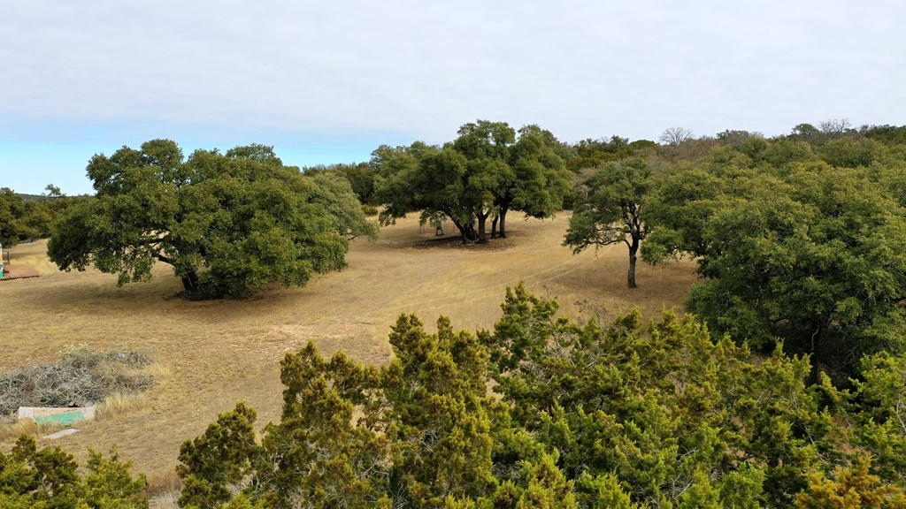 180 Bee Hive Road Hunt, TX 78024 - Photo 20 of 27