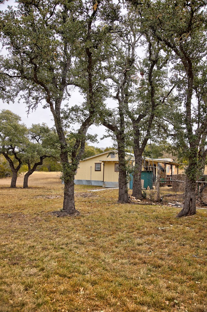 180 Bee Hive Road Hunt, TX 78024 - Photo 6 of 27 a tree in front of a house with a large tree