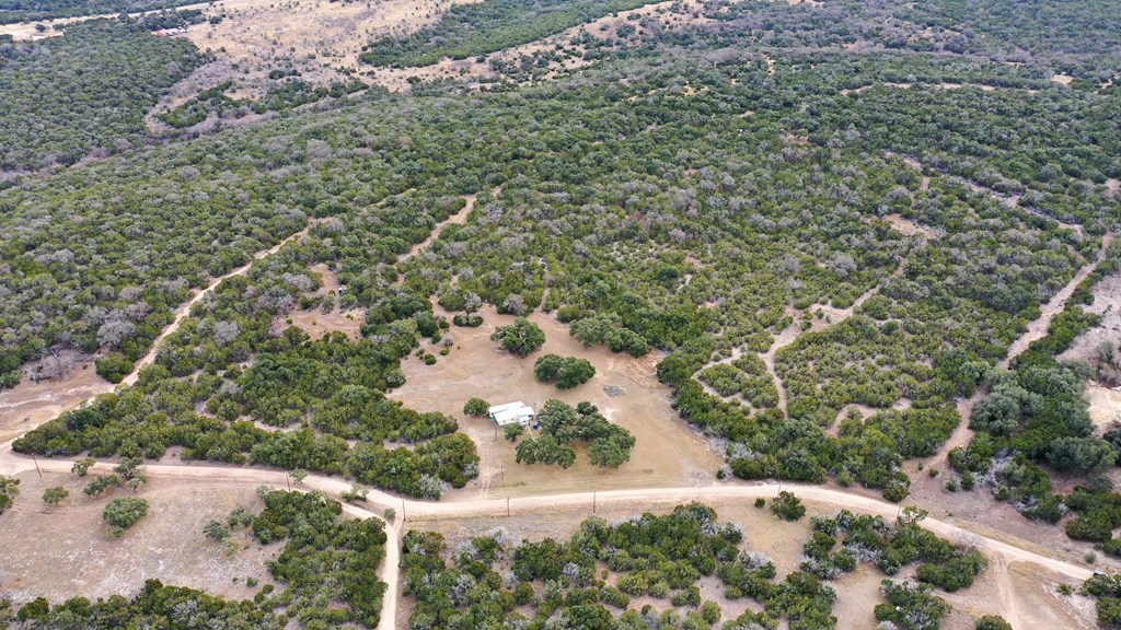 180 Bee Hive Road Hunt, TX 78024 - Photo 9 of 27 a view of a yard with plants