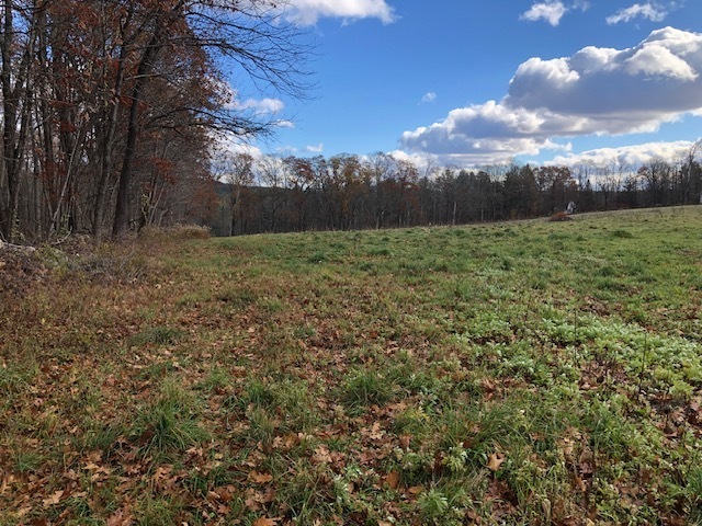 11 Shantry Road Colebrook, CT 06021 - Photo 11 of 15 a view of a yard