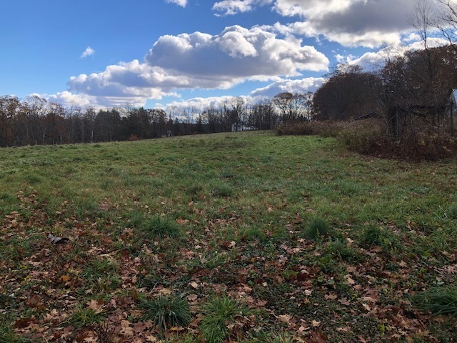 11 Shantry Road Colebrook, CT 06021 - Photo 14 of 15 a view of a big yard