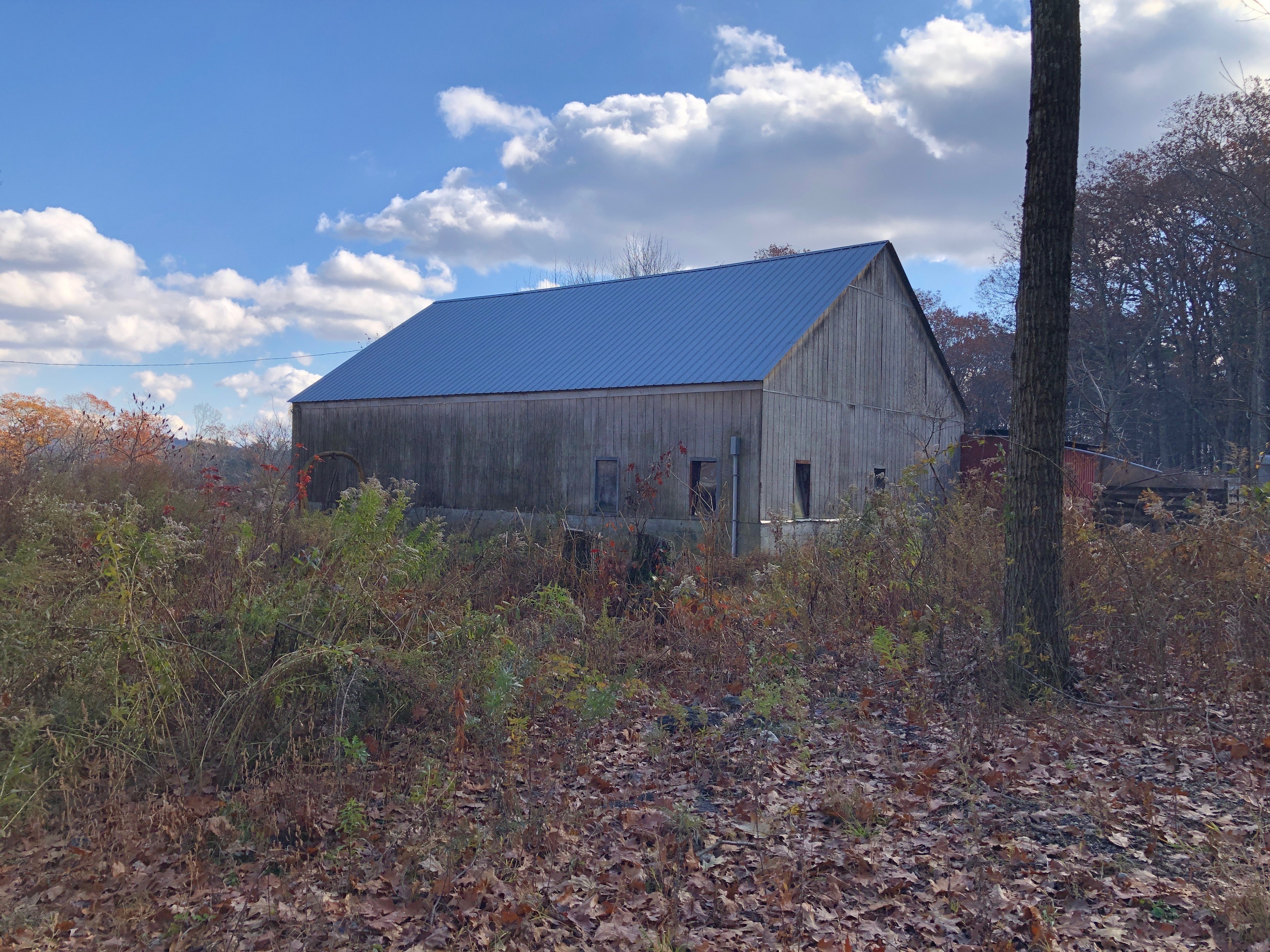 11 Shantry Road Colebrook, CT 06021 - Photo 8 of 15 a view of a backyard