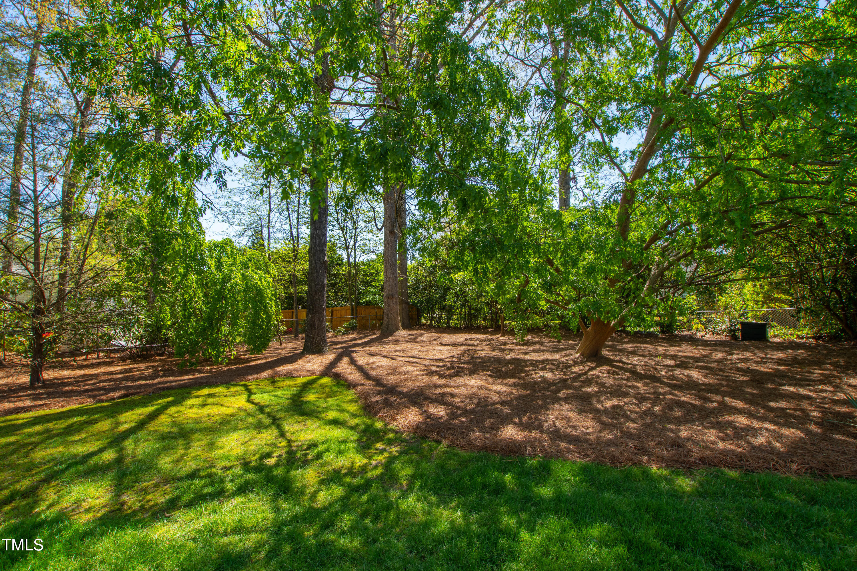 2210 Coley Forest Place Raleigh, NC 27607 - Photo 43 of 44 a view of a yard with plants and trees