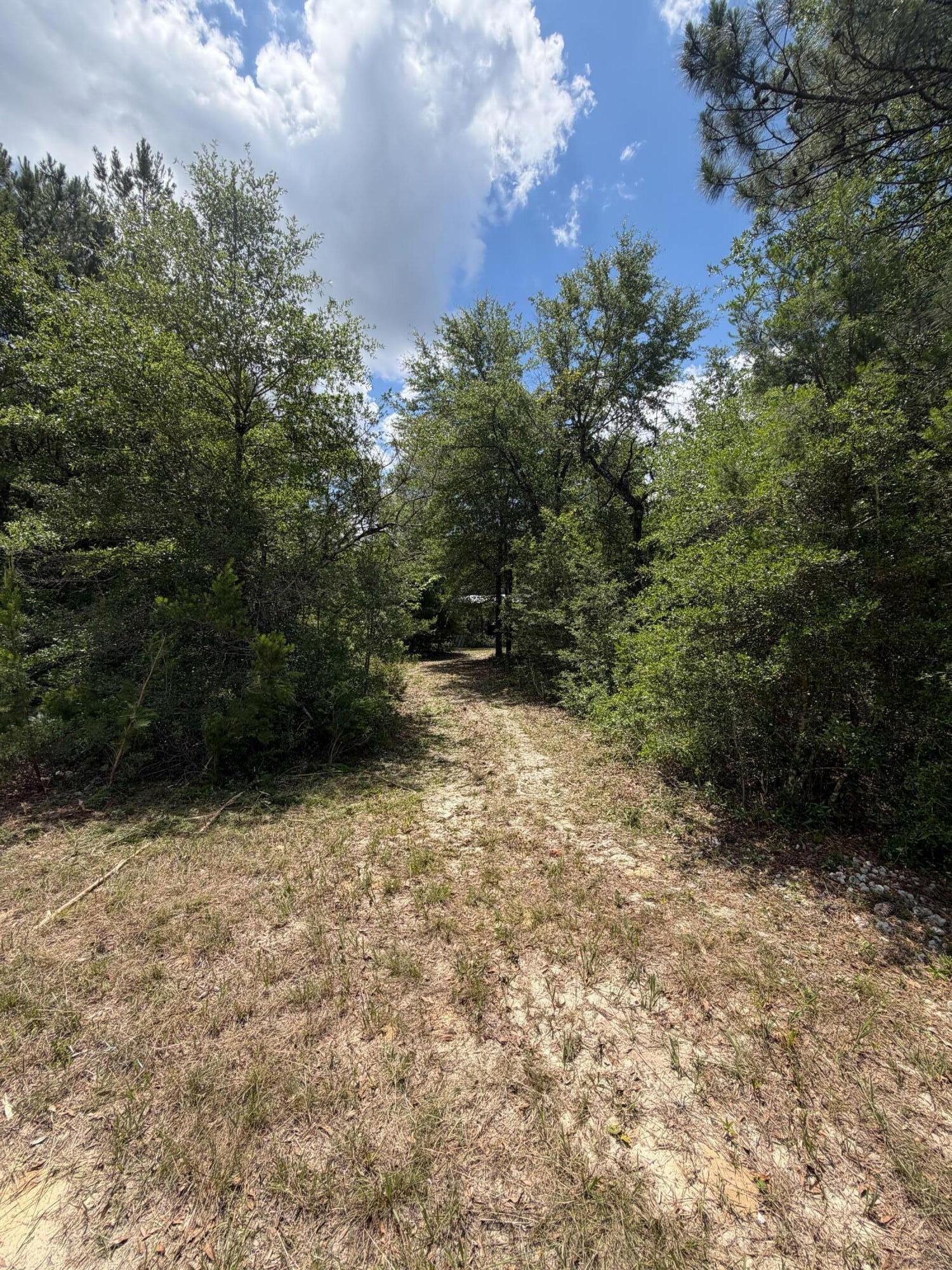 0 Laird Road Crestview, FL 32539 - Photo 16 of 59 IMG_0690