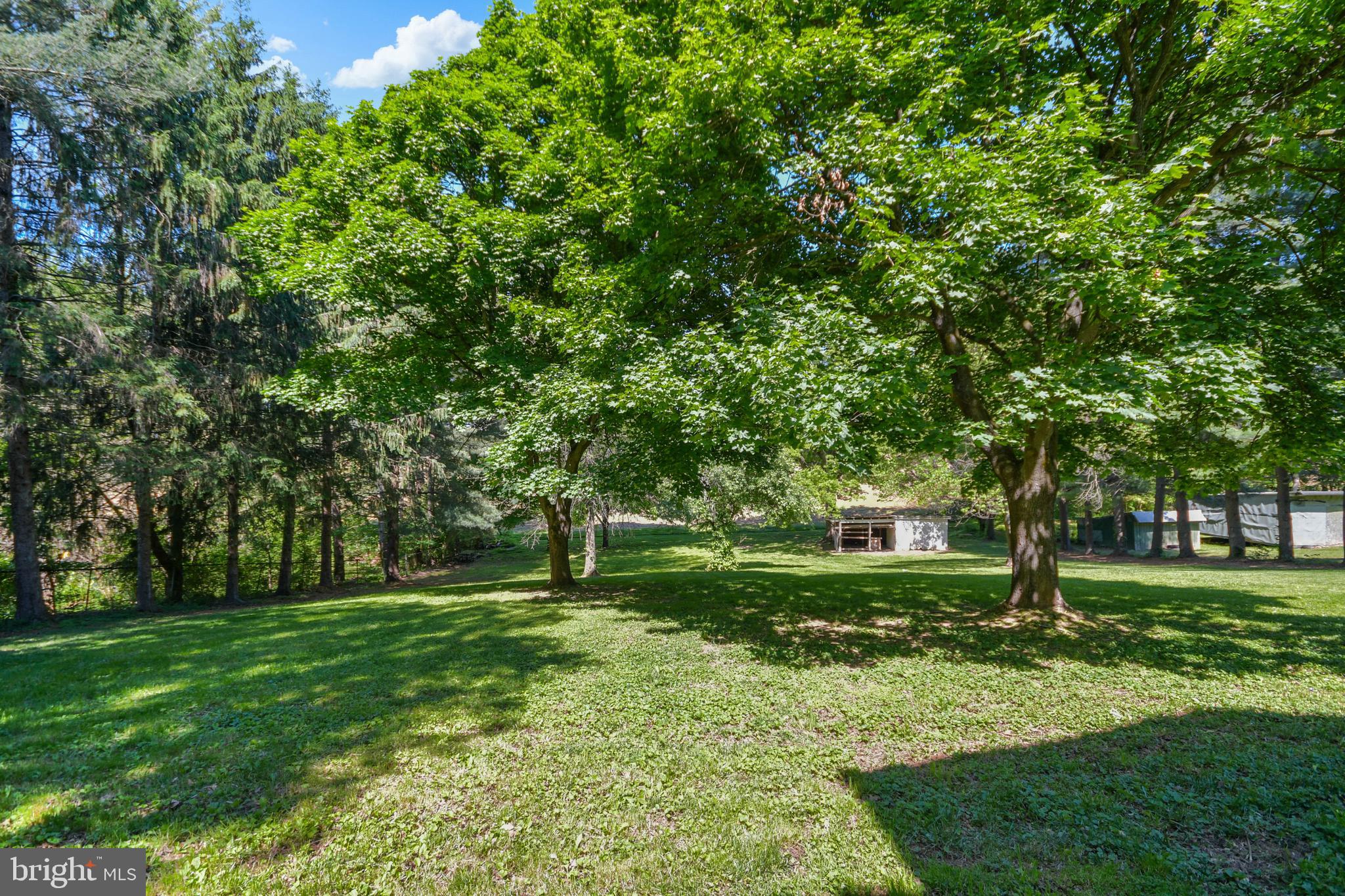 2528 Monocacy Bottom Road Adamstown, MD 21710 - Photo 52 of 61 Peaceful yard with mature trees.