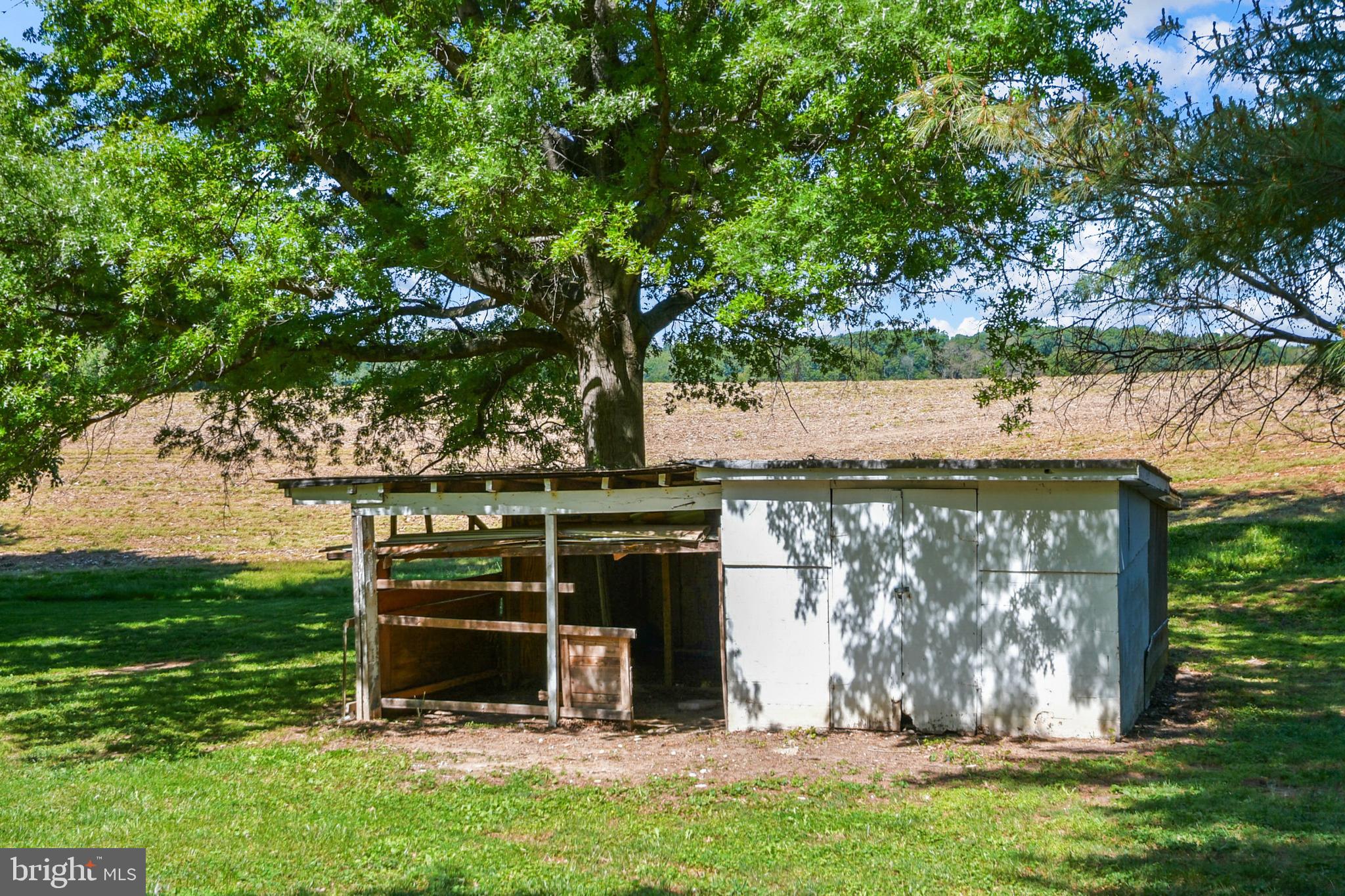 2528 Monocacy Bottom Road Adamstown, MD 21710 - Photo 53 of 61 Detached shed could be storage or animals