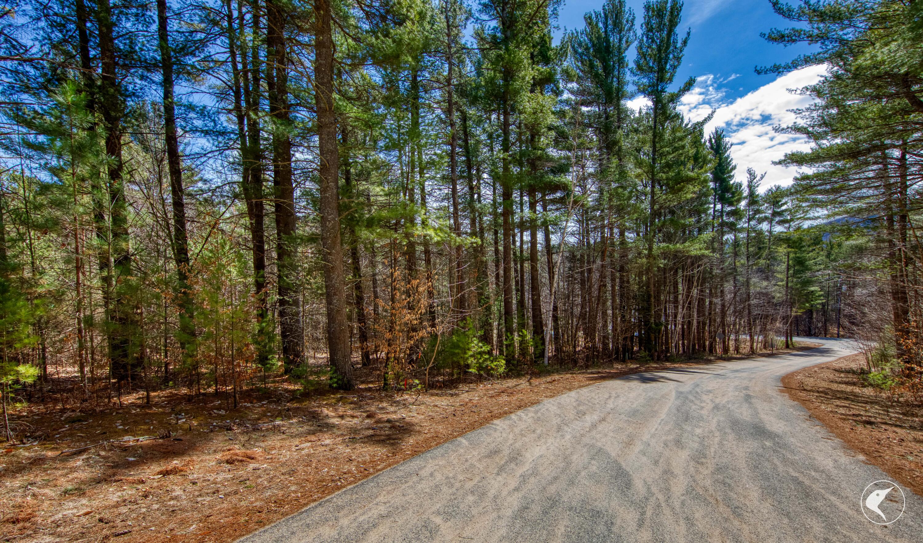 0 Pine Ridge Road Wilmington, NY 12997 - Photo 2 of 10 Roadside