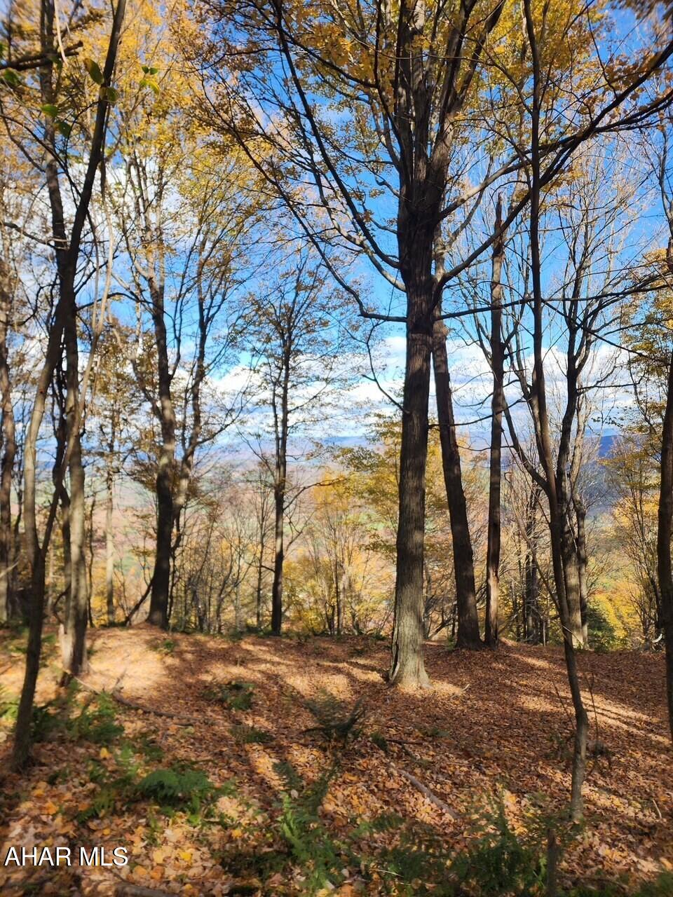 Lot 104 Overland Pass Road Altoona, PA 16602 - Photo 1 of 5