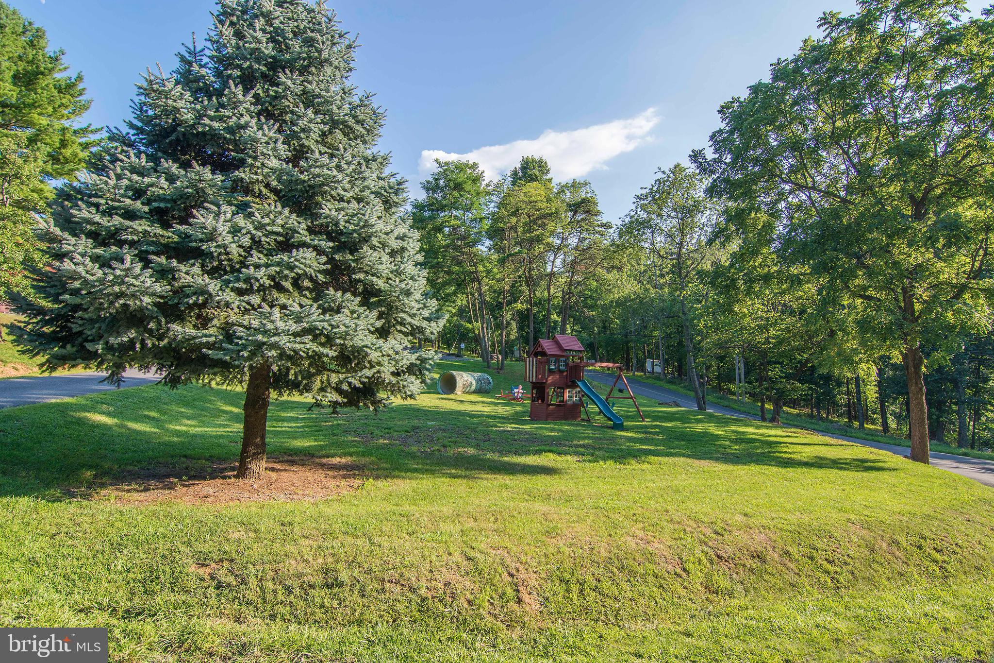 Lot 5 Deer Trail Road Front Royal, VA 22630 - Photo 5 of 6 a view of a park with large trees
