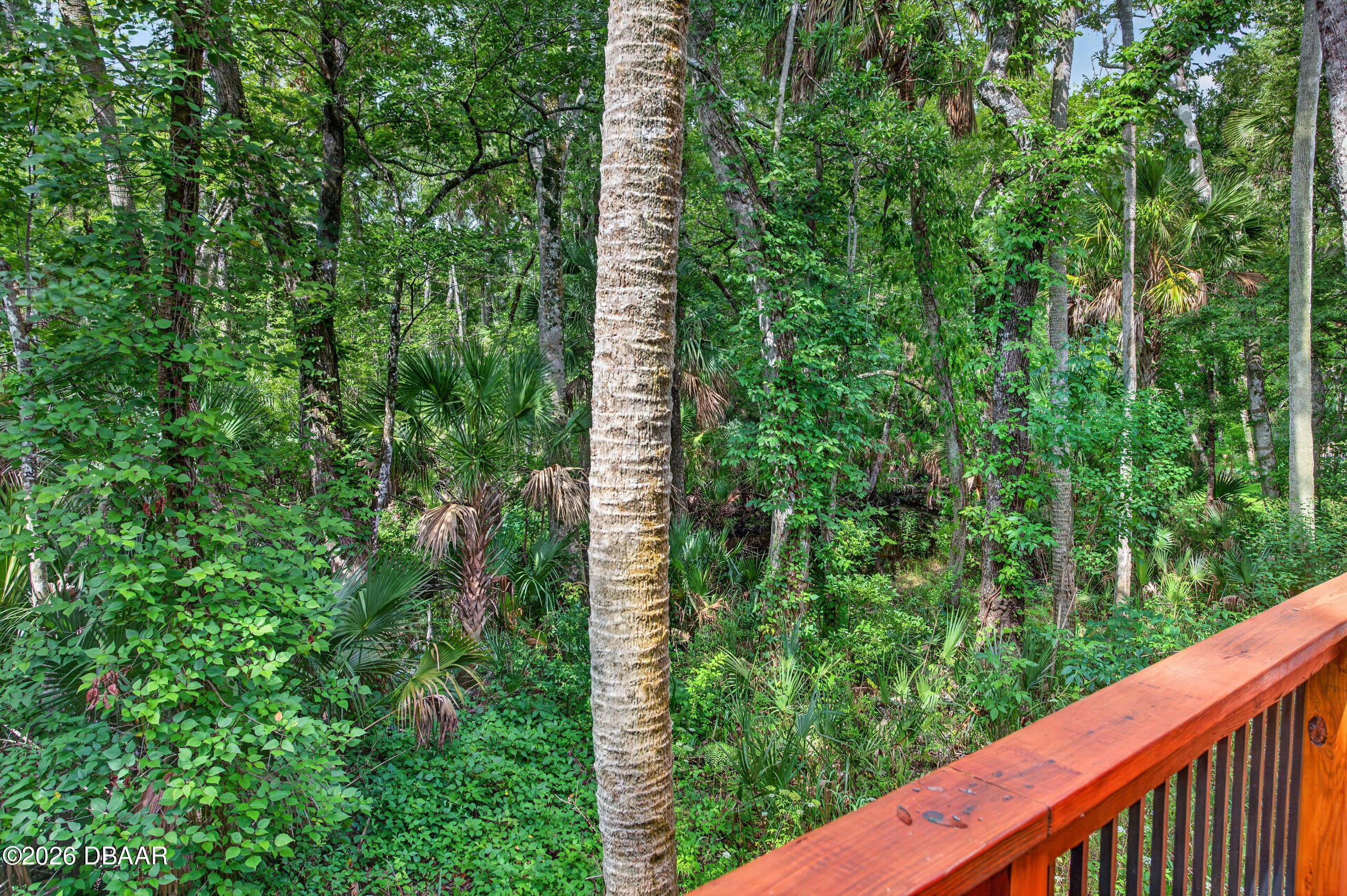 15 River Ridge Trail Ormond Beach, FL 32174 - Photo 26 of 51 D85_2779