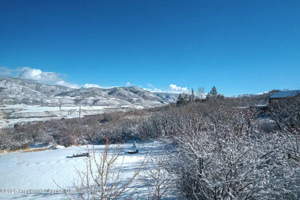 a view of a dry yard with trees