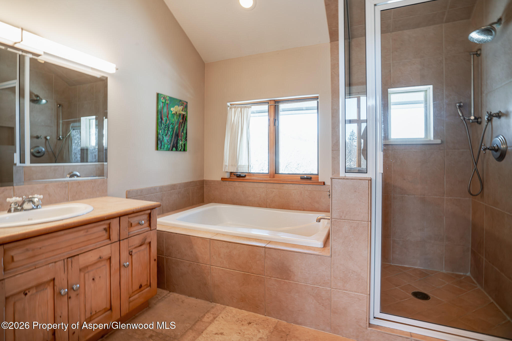 2310 Juniper Hill Road Aspen, CO 81611 - Photo 16 of 50 a bathroom with a tub sink and mirror