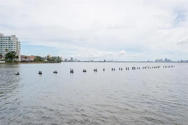 $695,000 | 5020 Bayshore Boulevard, Unit 201, Tampa, FL 33611