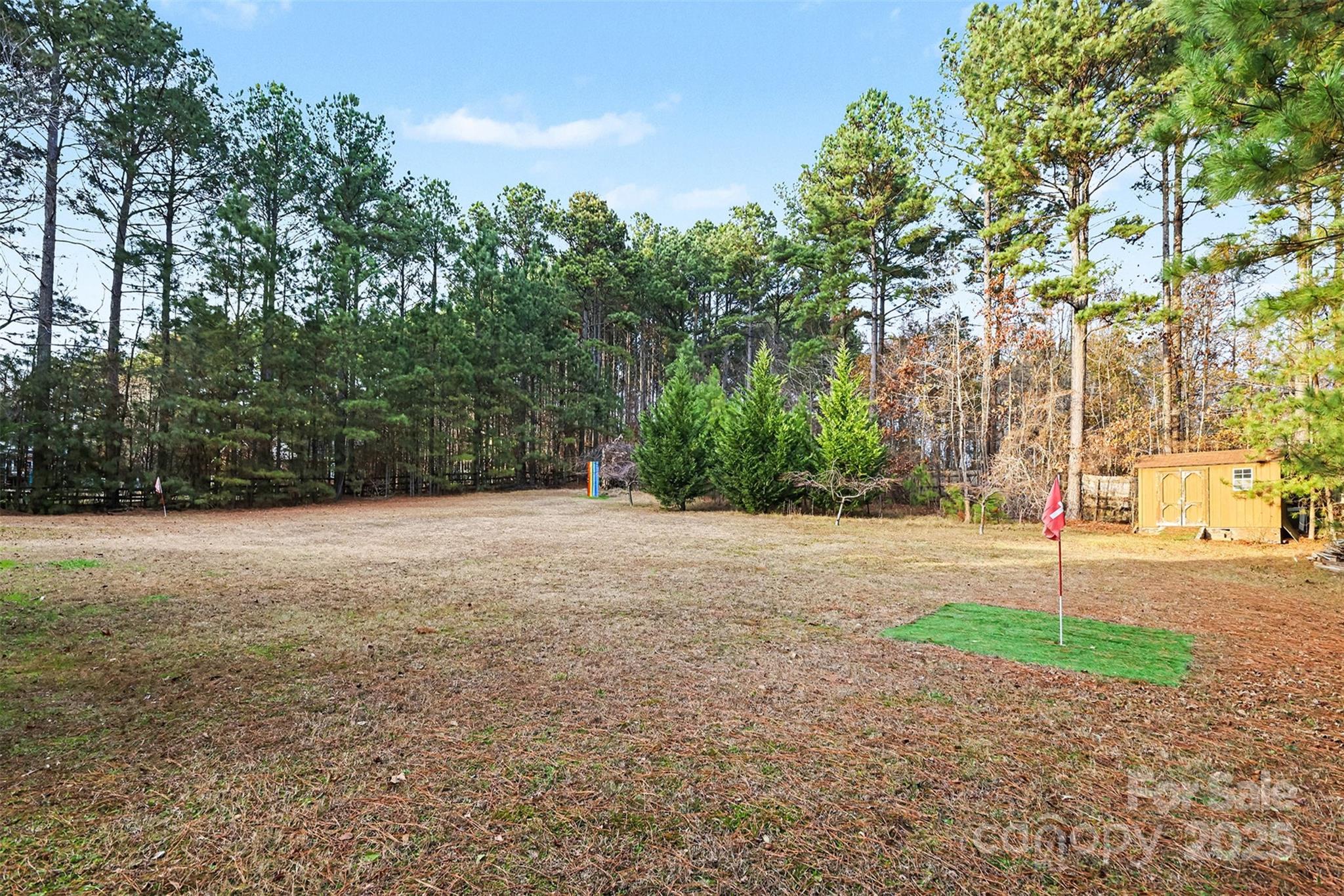 5418 Commodore Place Clover, SC 29710 - Photo 45 of 48 a view of a yard with a tree