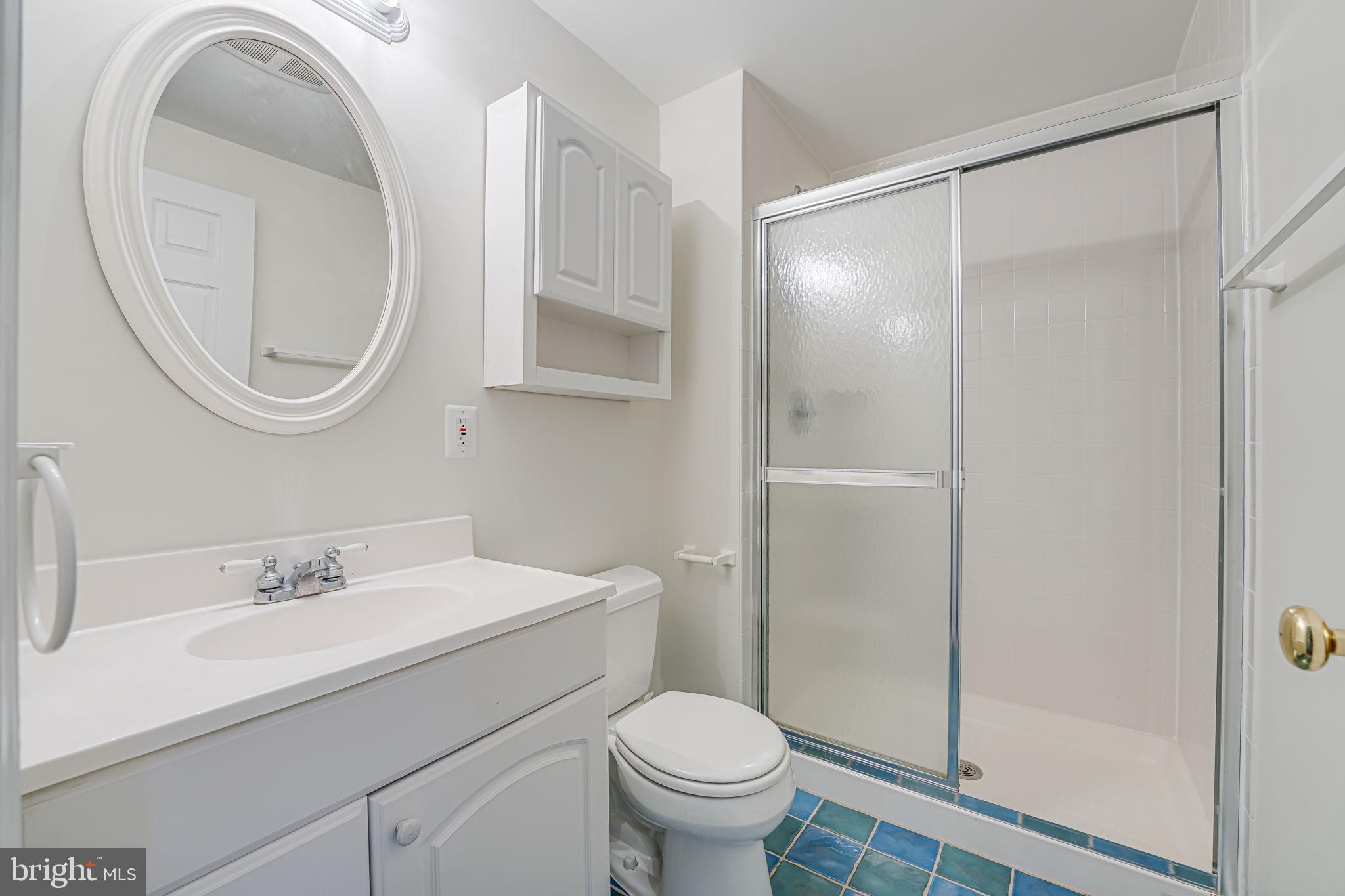 20935 Gardengate Circle Ashburn, VA 20147 - Photo 43 of 67 Lower level full bath!