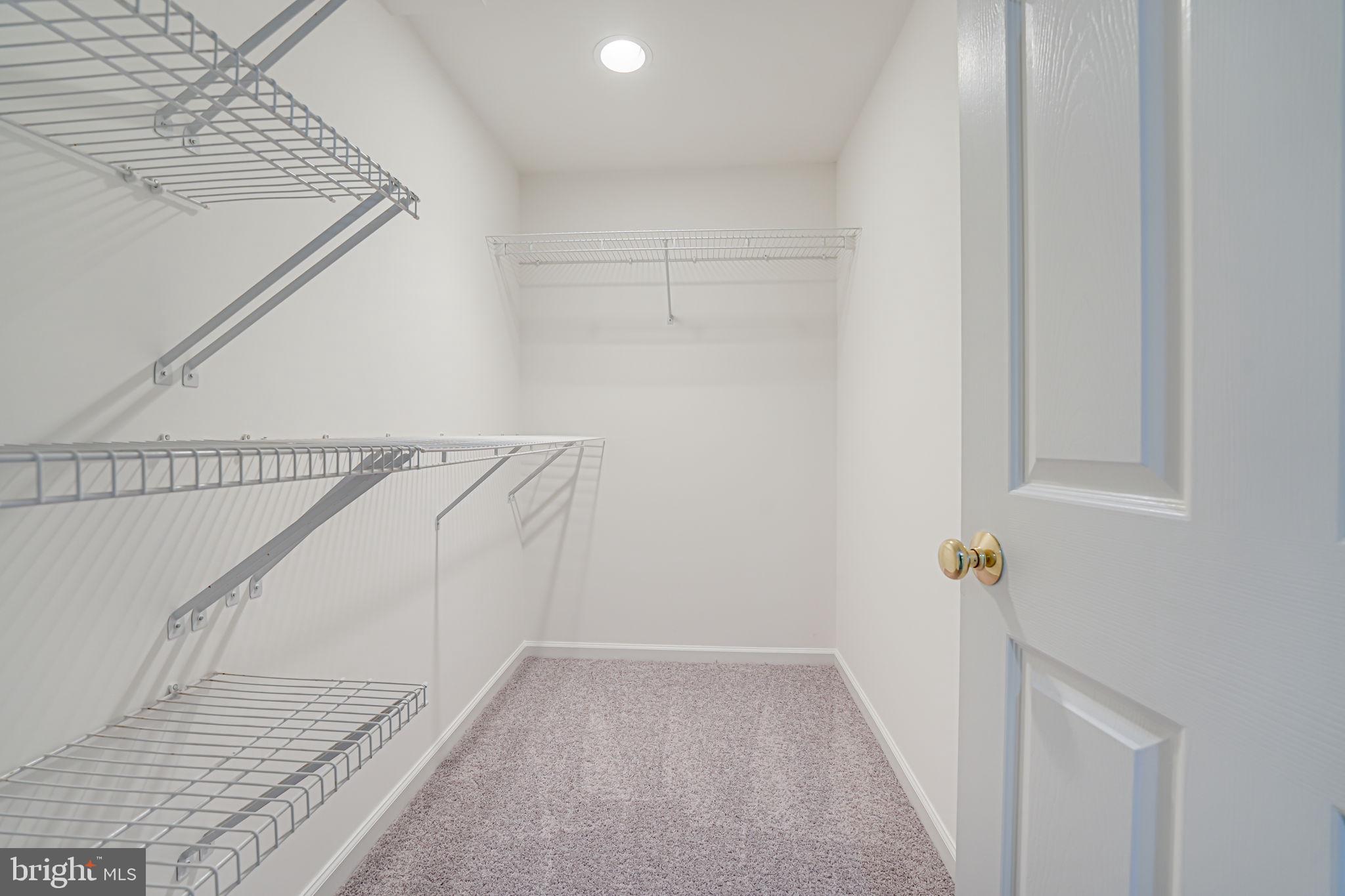 20935 Gardengate Circle Ashburn, VA 20147 - Photo 46 of 67 Lower level walk in