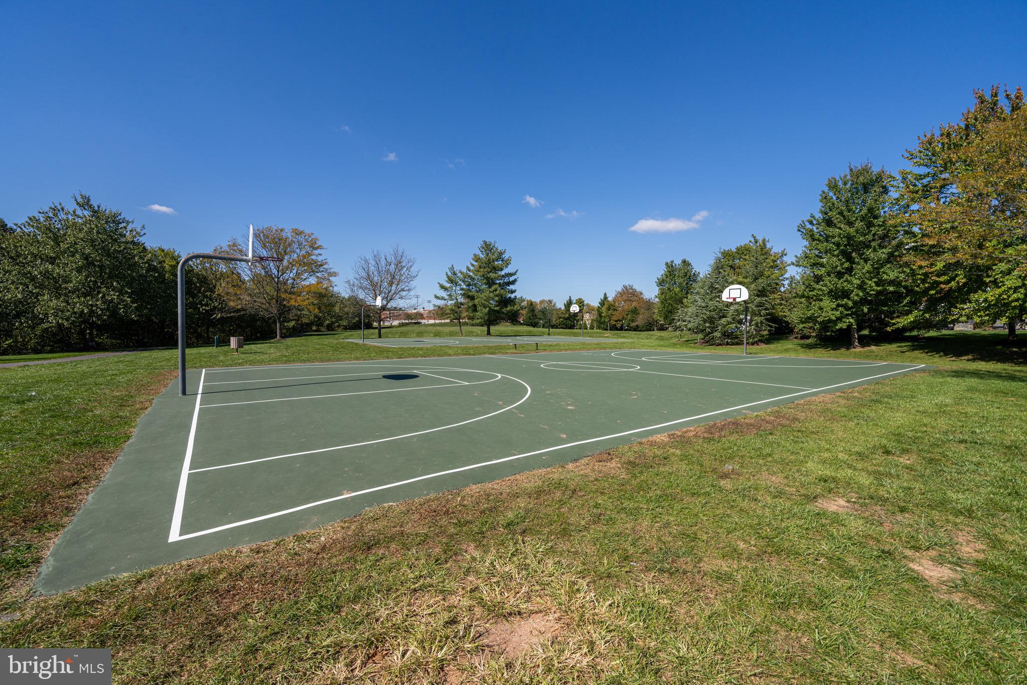 20935 Gardengate Circle Ashburn, VA 20147 - Photo 64 of 67 Basketball!