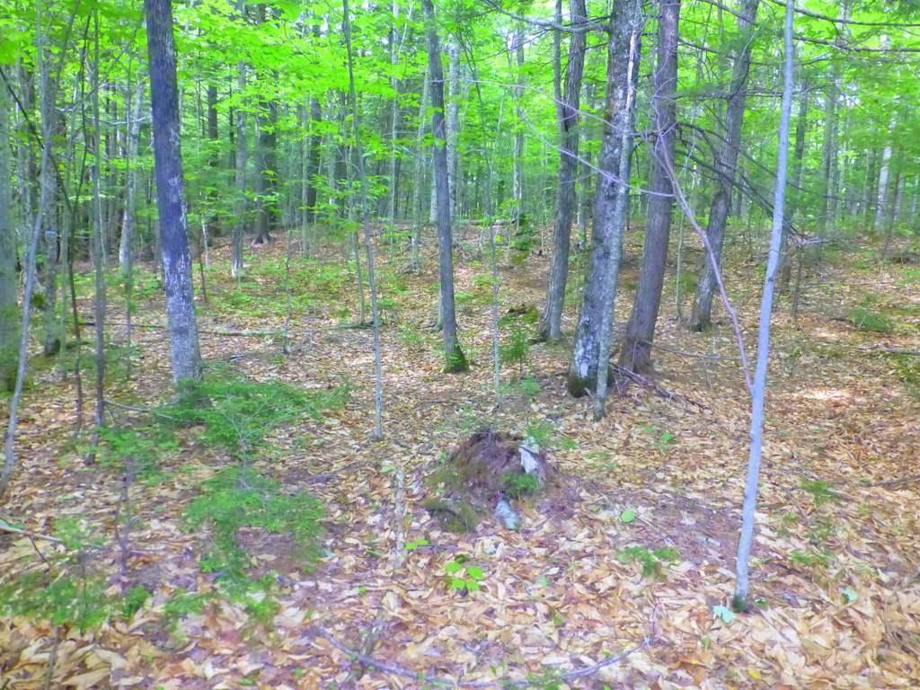 Lot #4 Burbank Hill Road Strong, ME 04983 - Photo 17 of 19 Photo