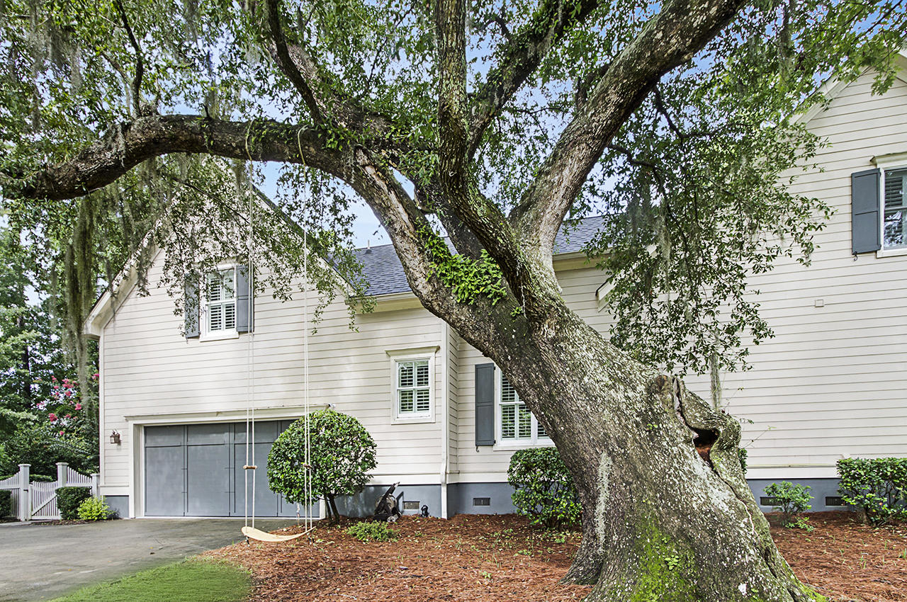 3605 Henrietta Hartford Road Mount Pleasant, SC 29466 - Photo 6 of 57 Beautiful Live Oak!