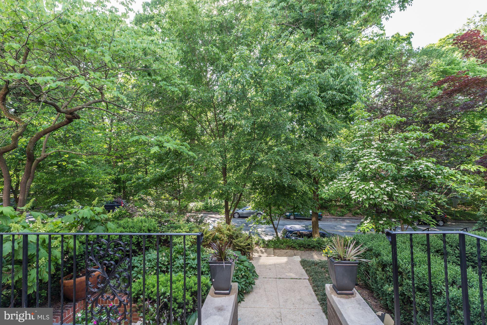 2039 Park Road Northwest Washington, DC 20010 - Photo 3 of 30 Breathtaking nature views of Rock Creek Park