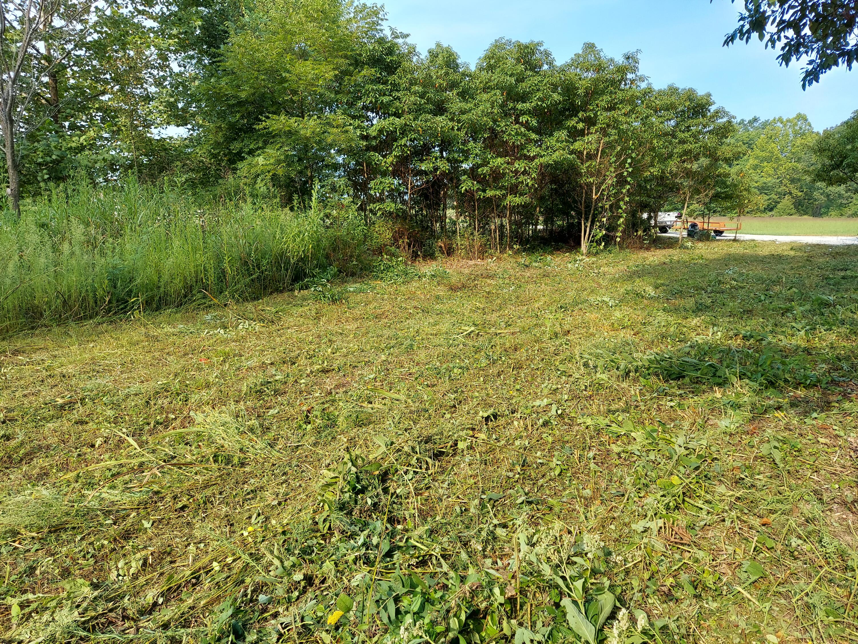 6237 Hunters Glen Road Seligman, MO 65745 - Photo 4 of 8 1000000772