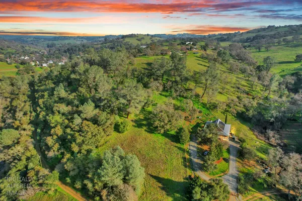 a view of a lush green forest with lots of trees