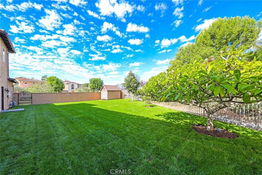 6402 Camino Ventosa San Clemente, CA 92673 - Photo 36 of 67 a view of a big yard with plants and a large tree