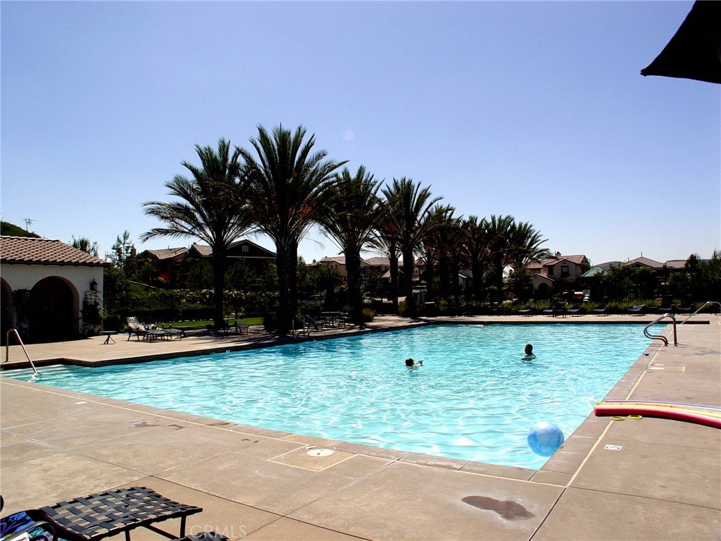 6402 Camino Ventosa San Clemente, CA 92673 - Photo 51 of 67 a view of a yard with palm tree